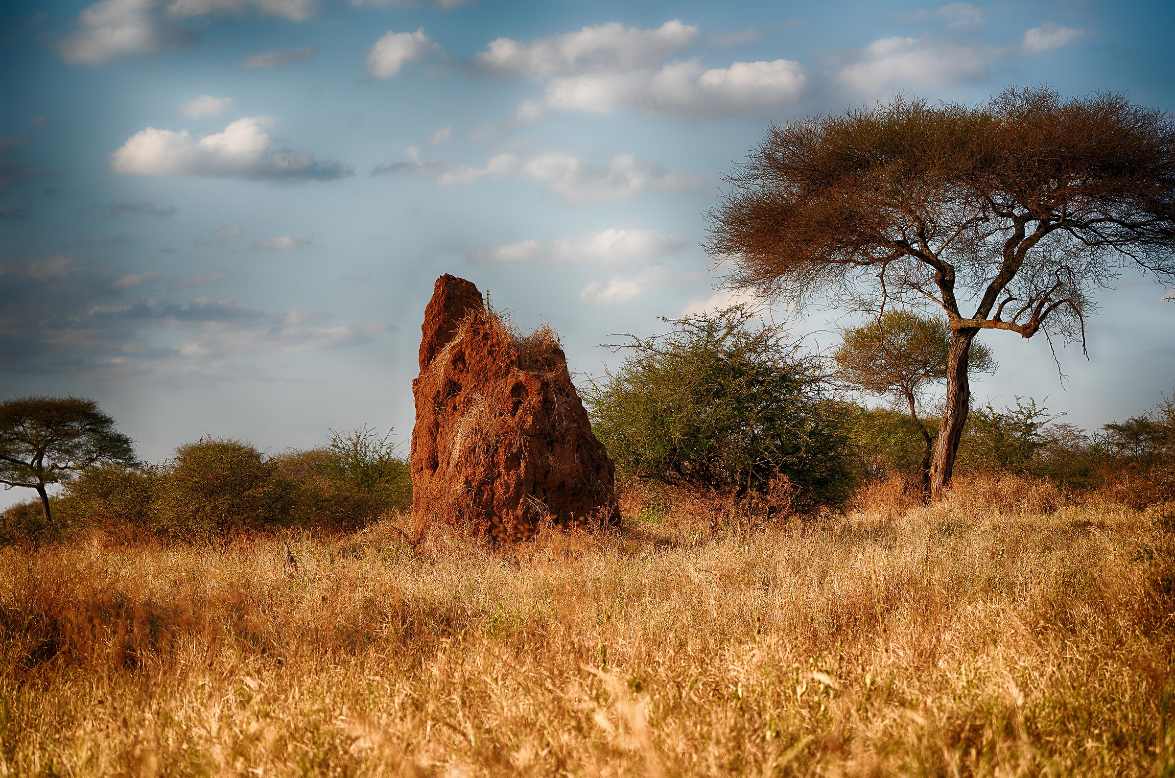 Serengeti-Ngorongoro
