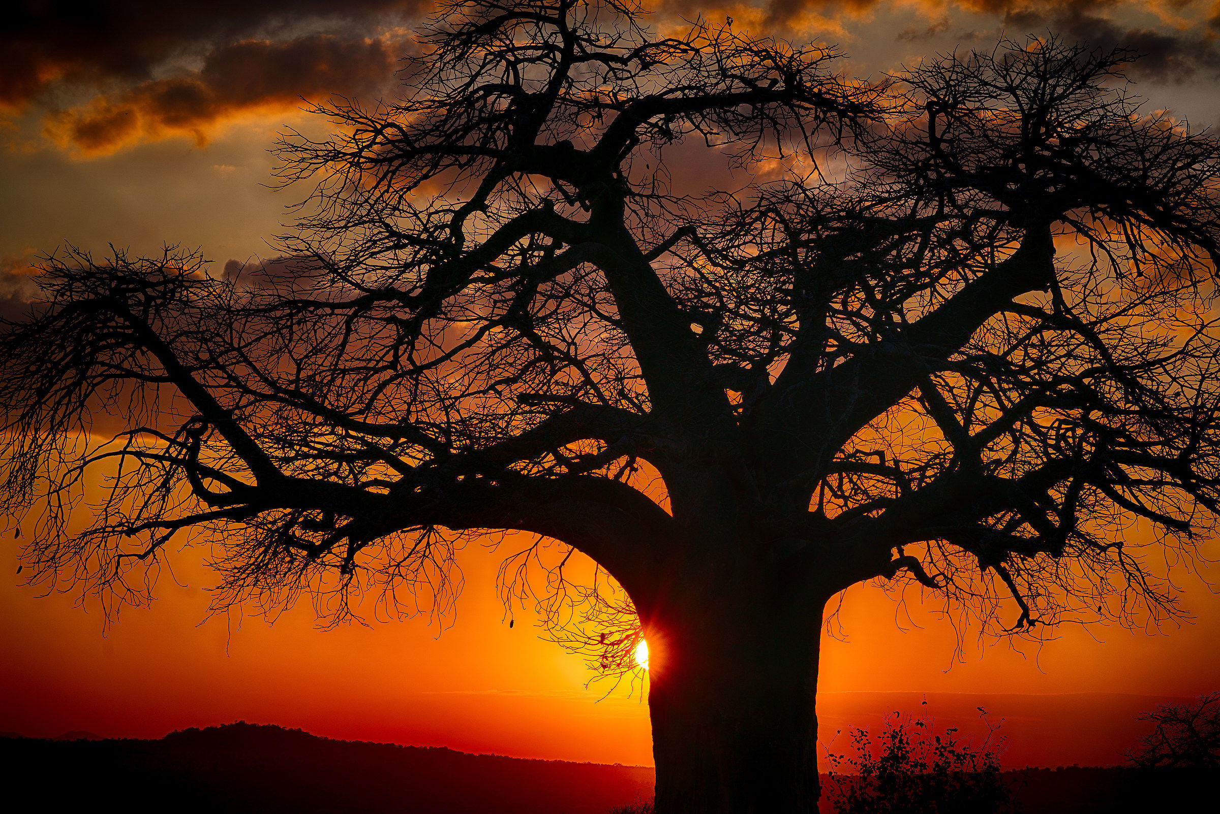 Serengeti-Ngorongoro