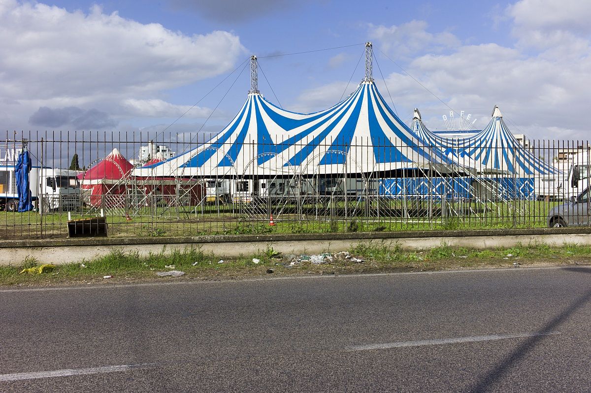 1 circus