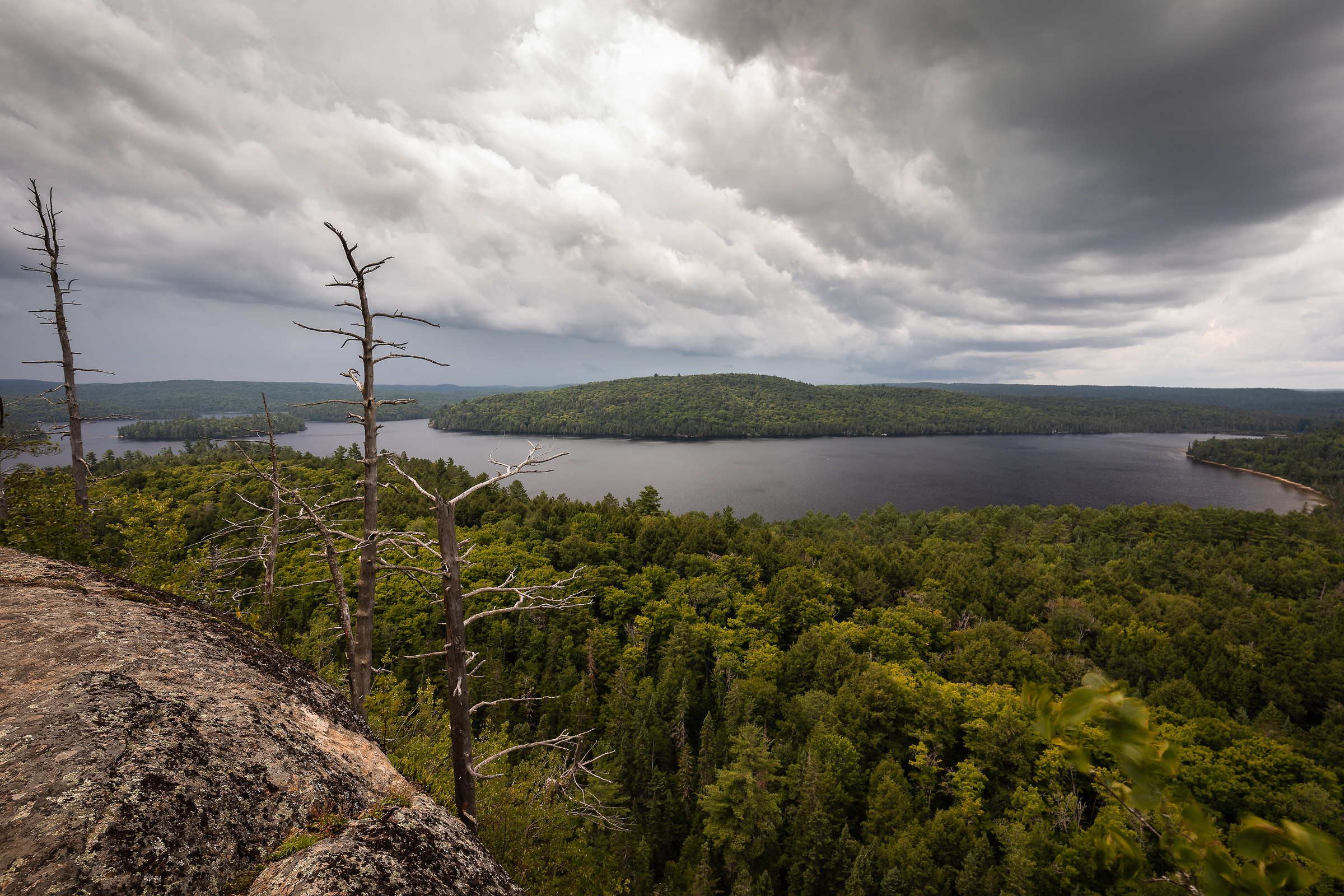 Booth's Lookout Trail