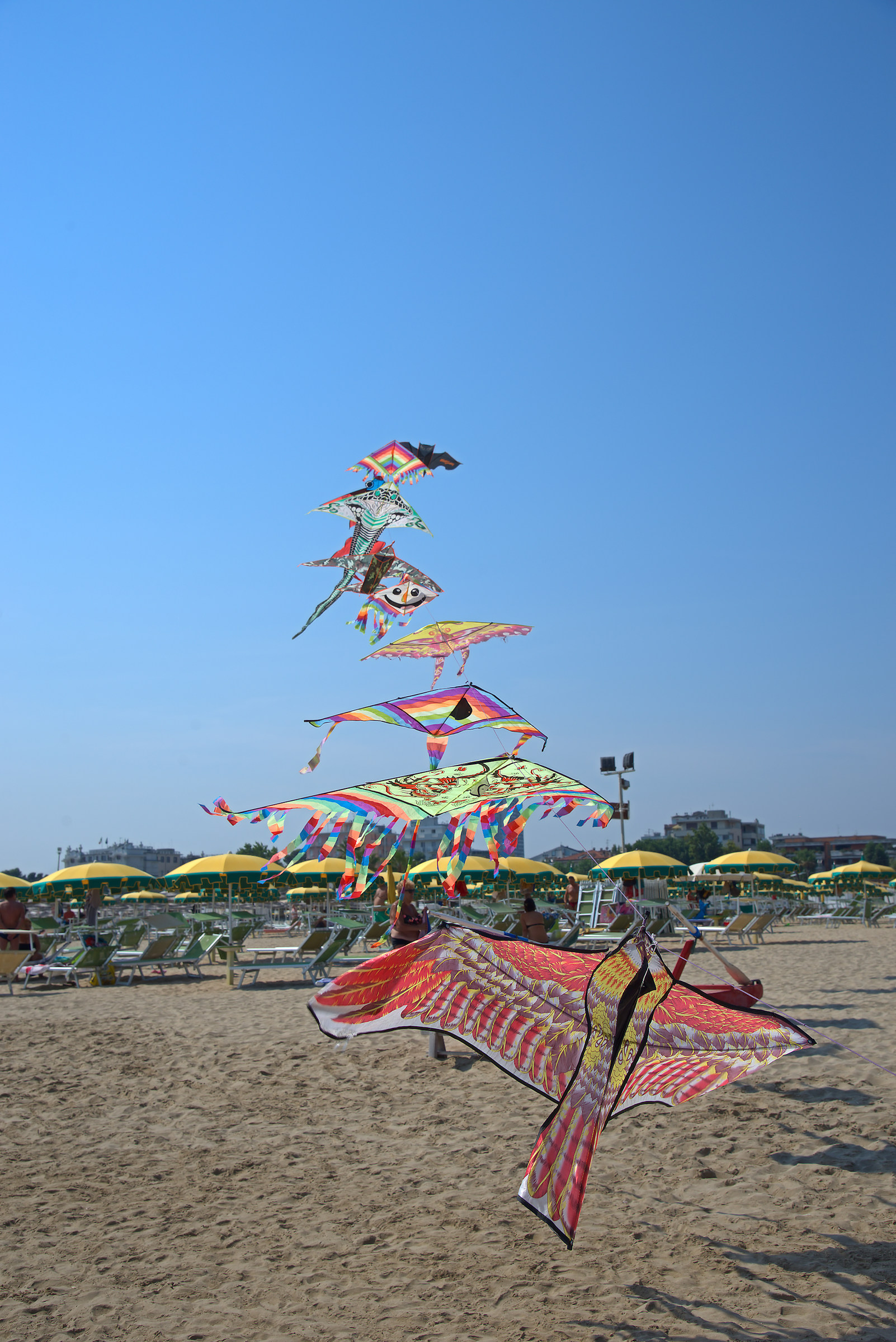 Vuoi comprare un aquilone?