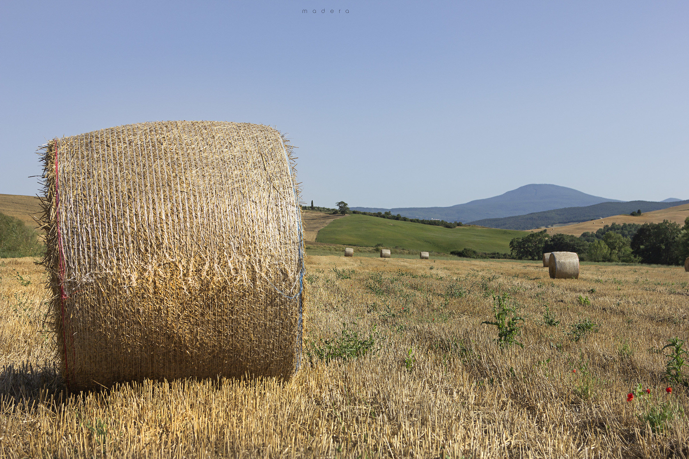 Hay Bale