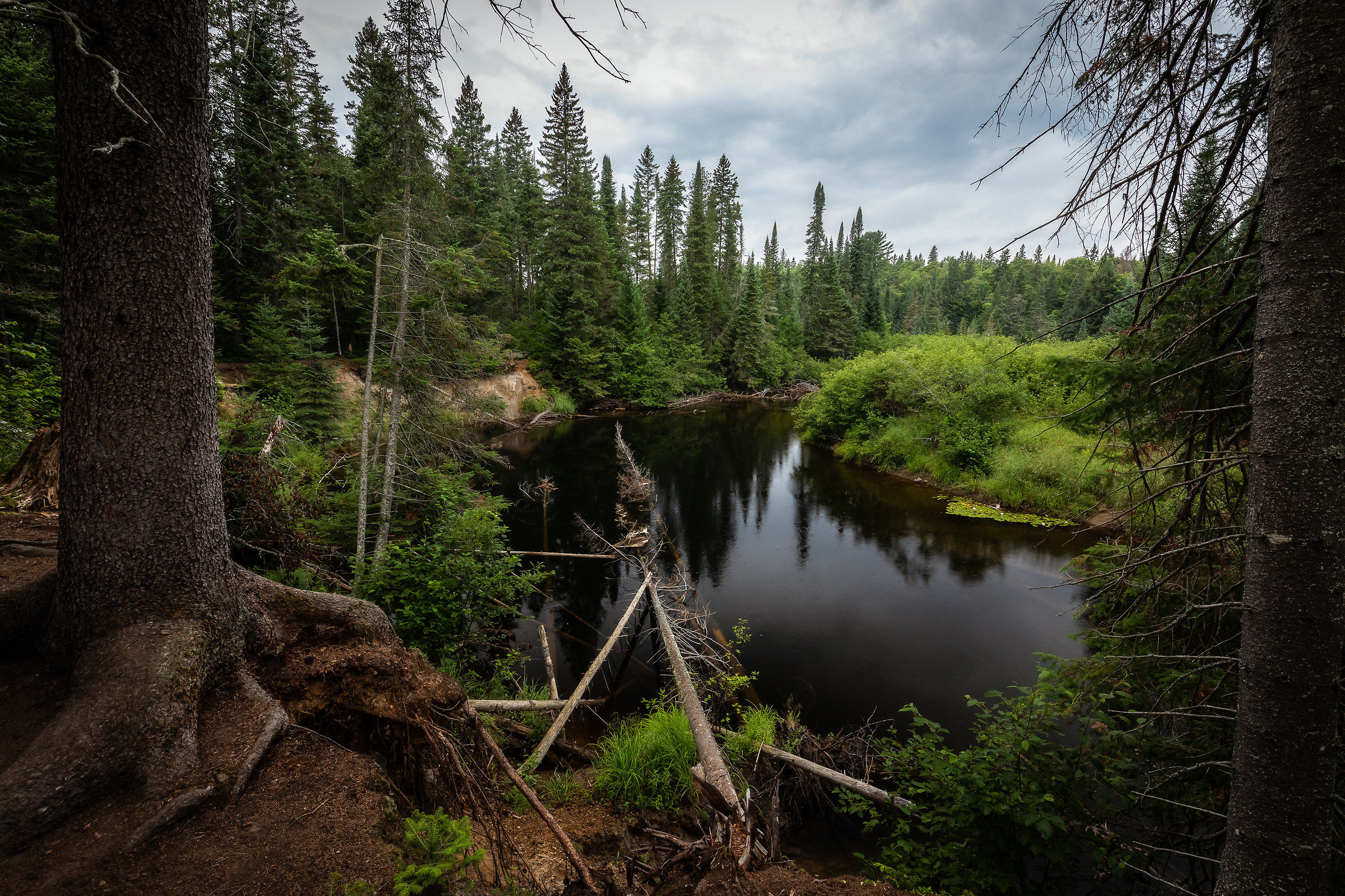 The Whiskey Rapids Trail
