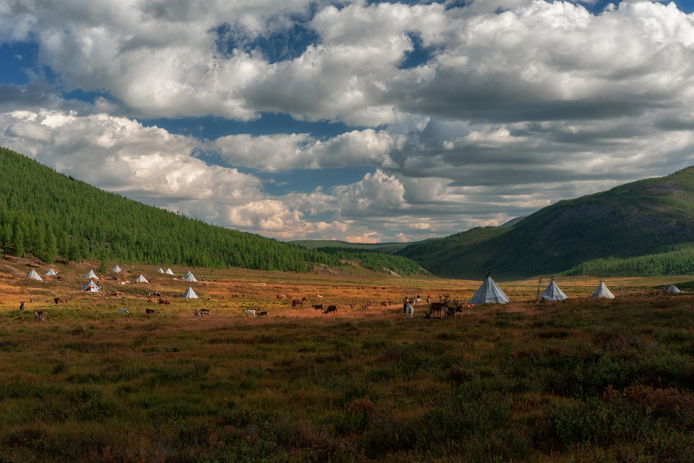 Tsaatan Camp, Mongolia
