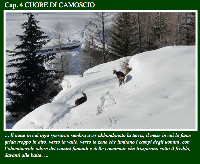 roads of the world - www.stradedelmondo.it