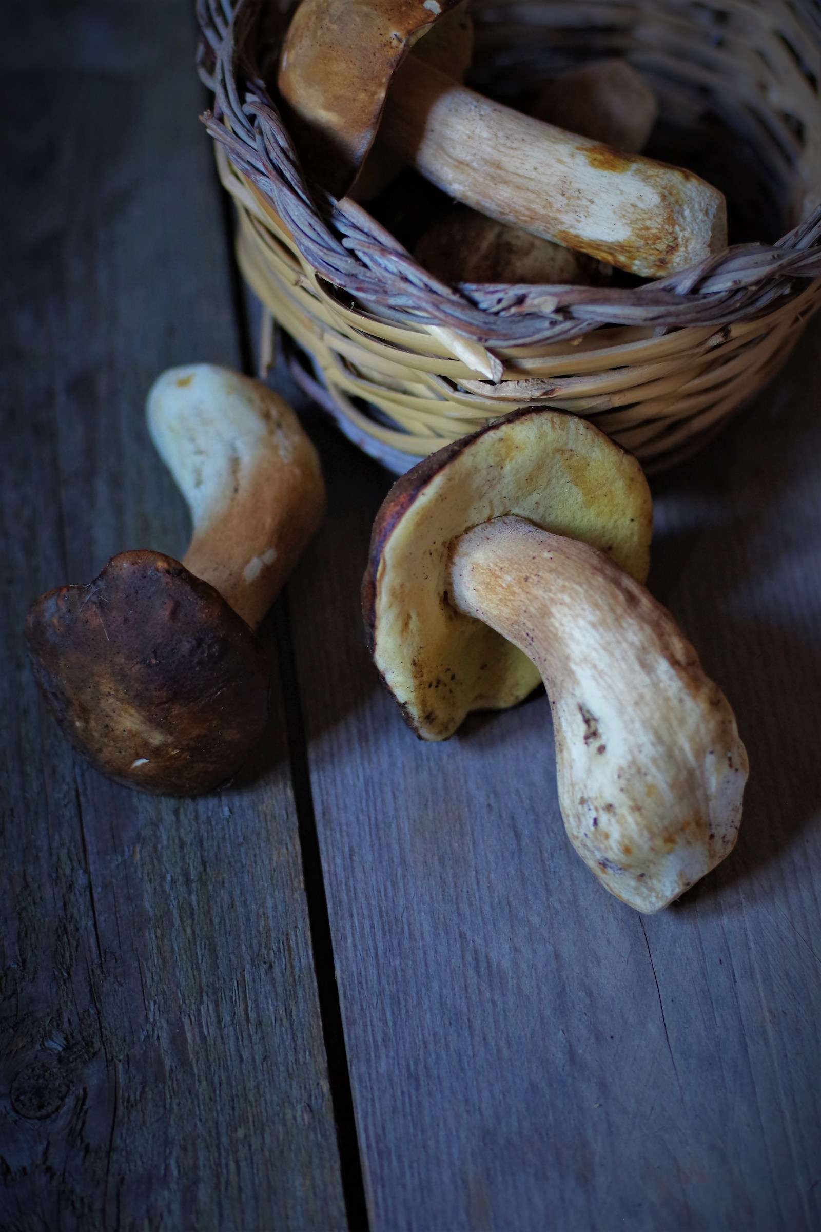 Porcini mushrooms