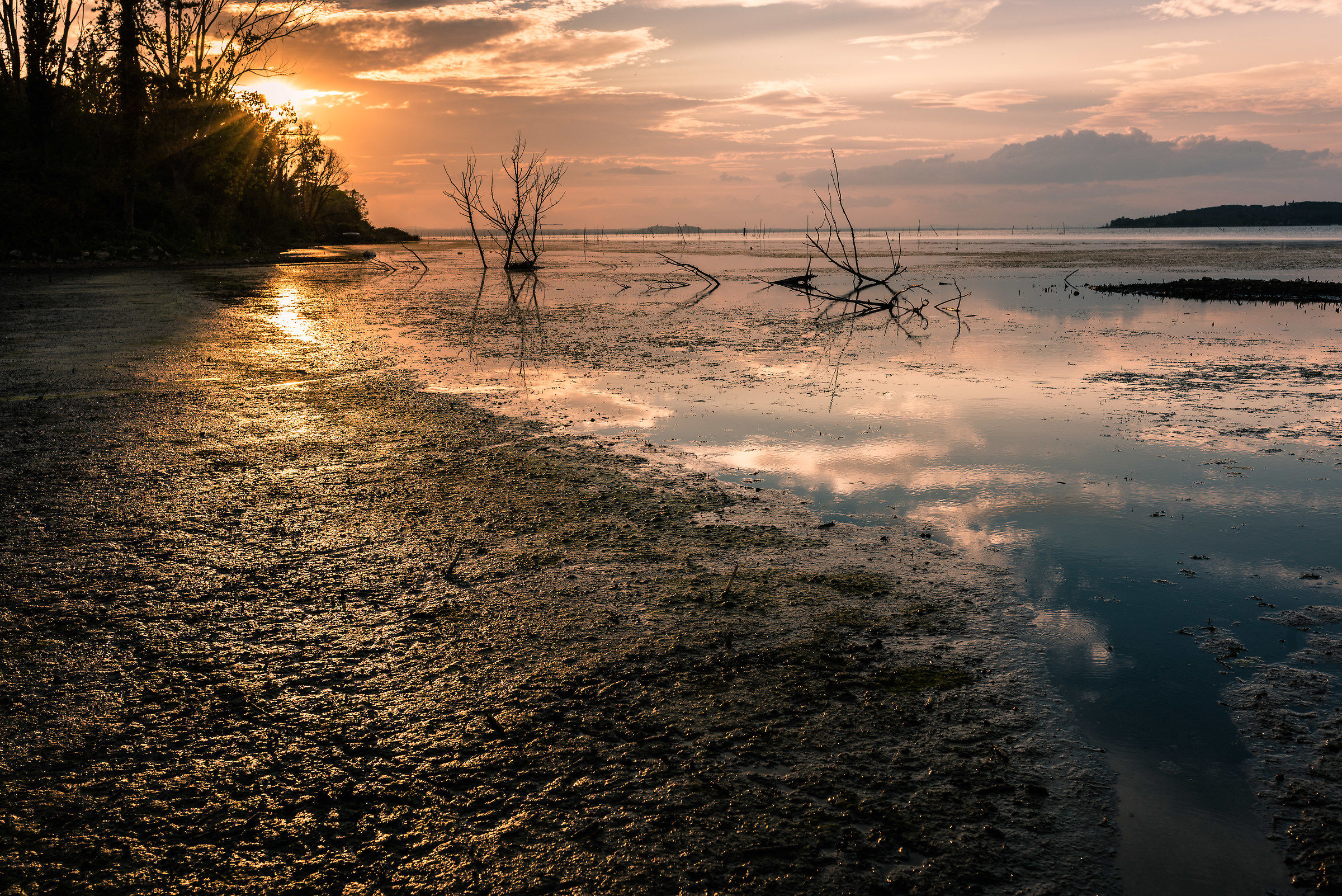 La Pelle del Trasimeno