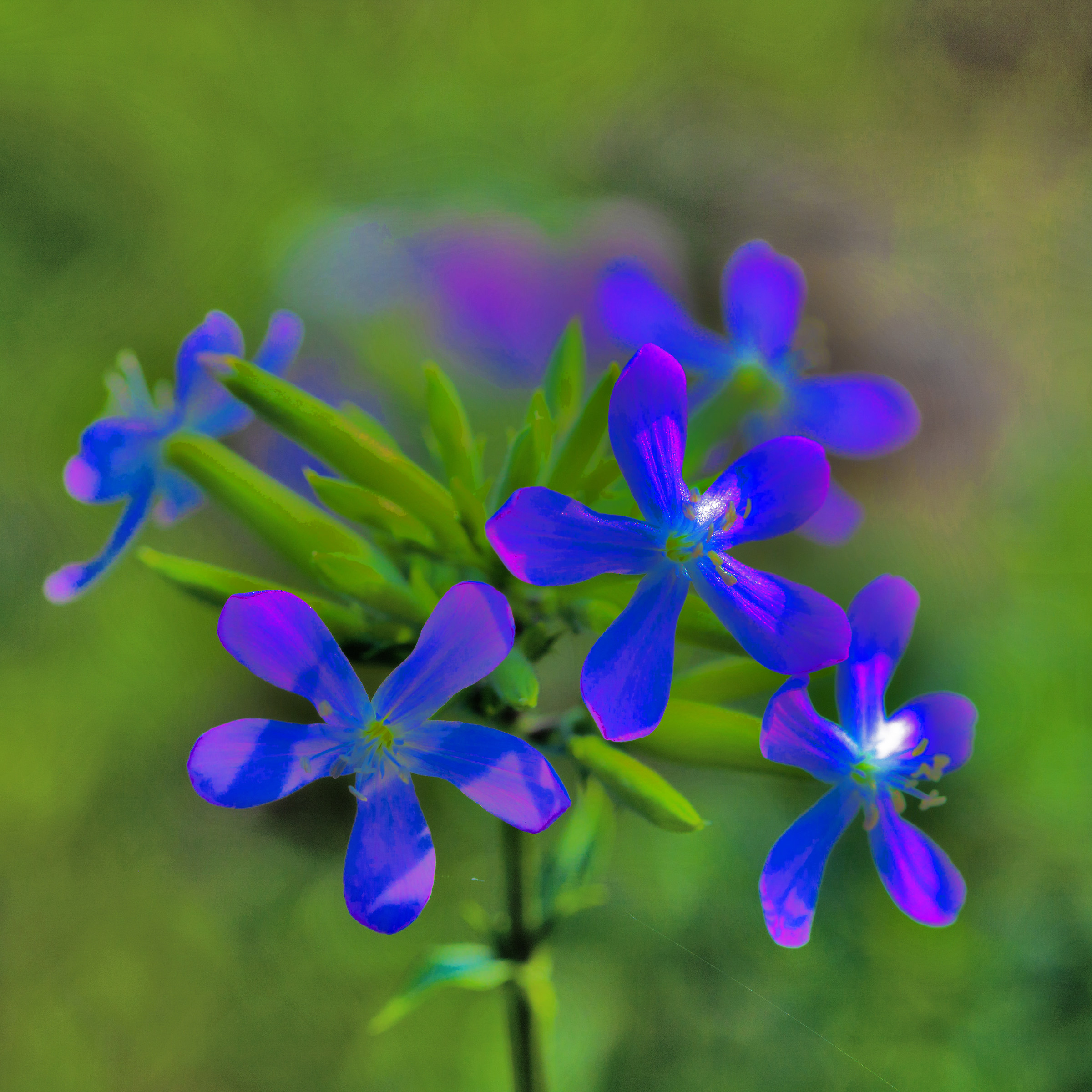 Dream of the end of summer