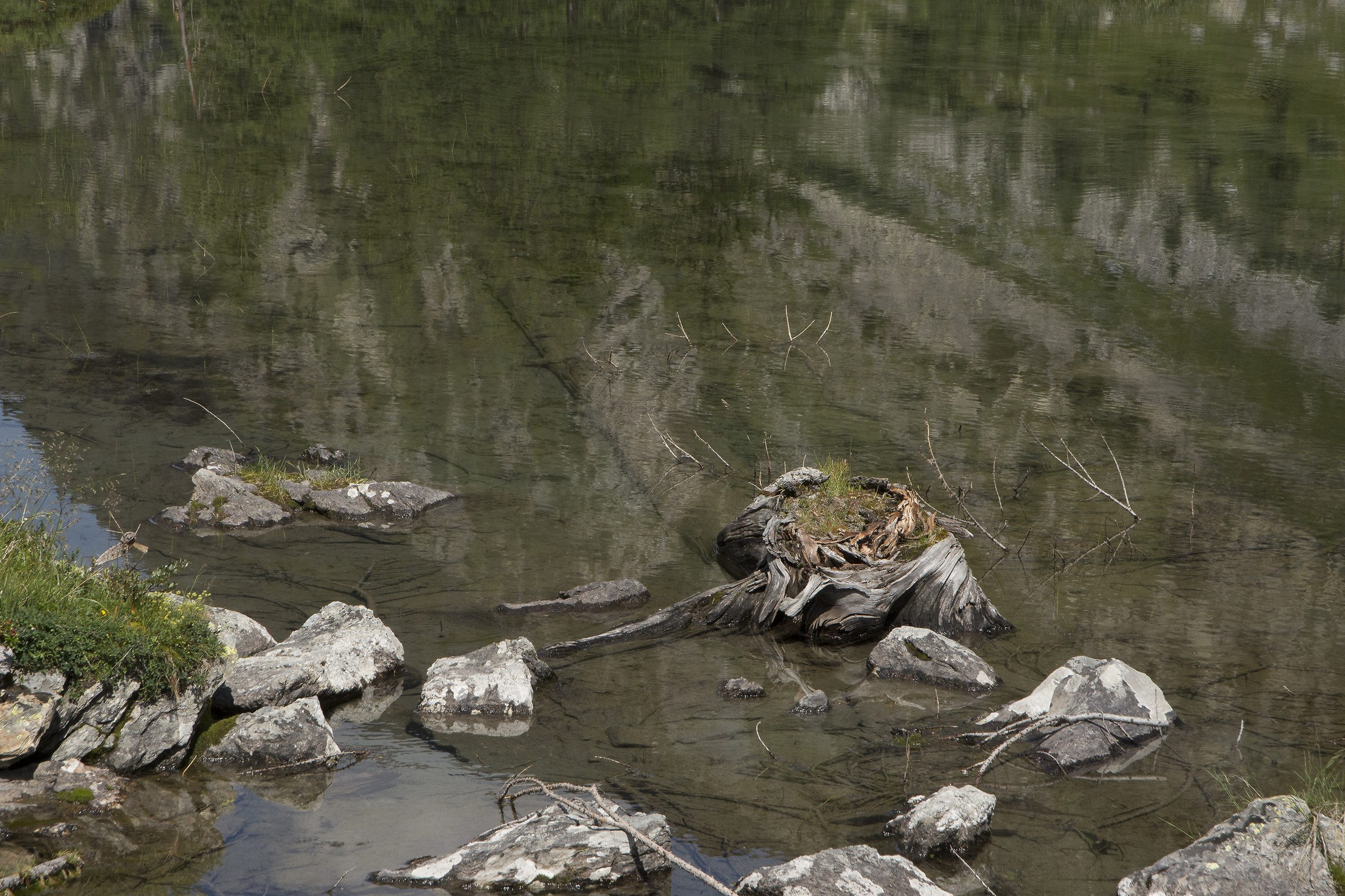 Riflessi
