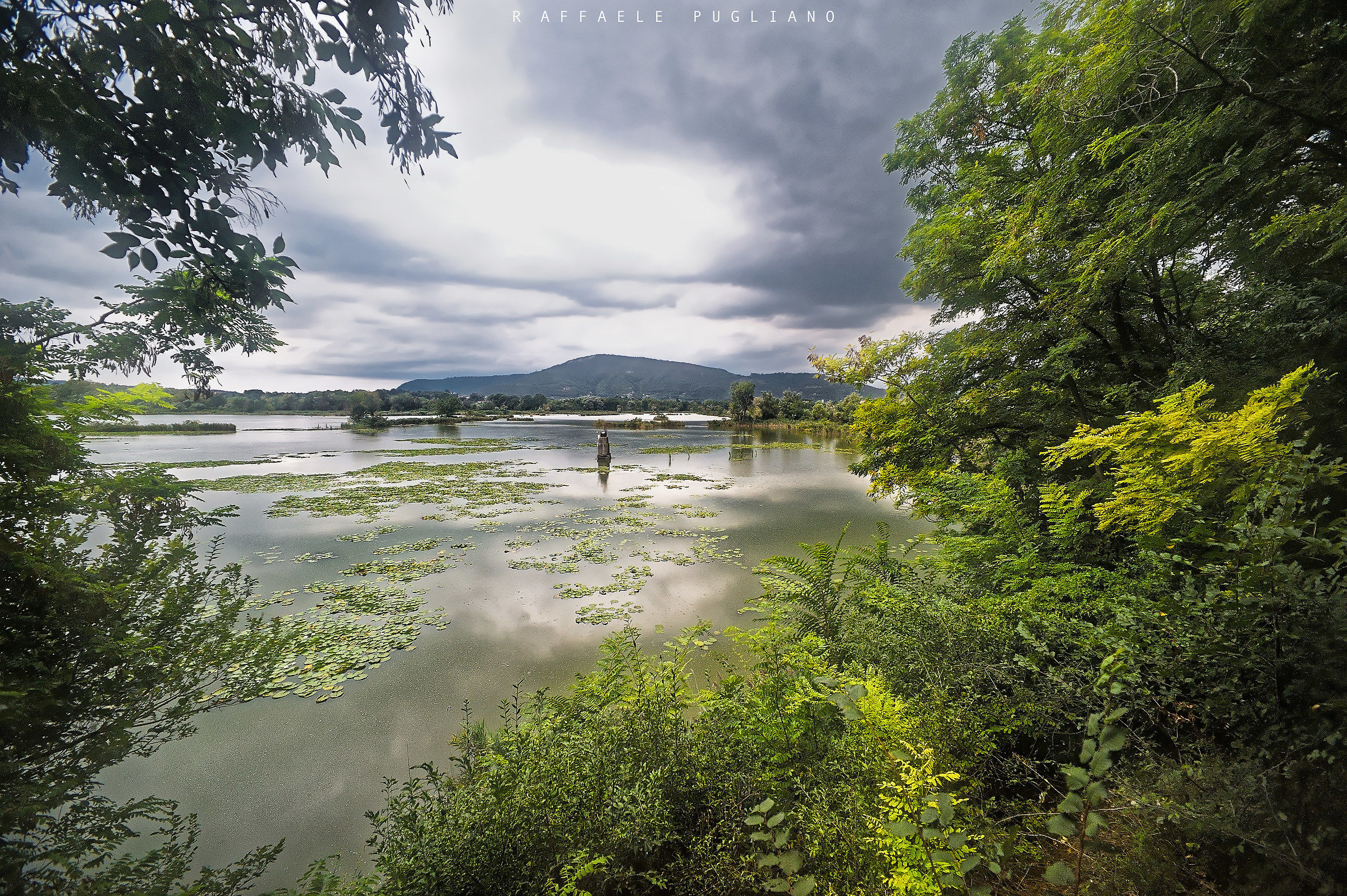 Nature Reserve Torbiere del Sebino