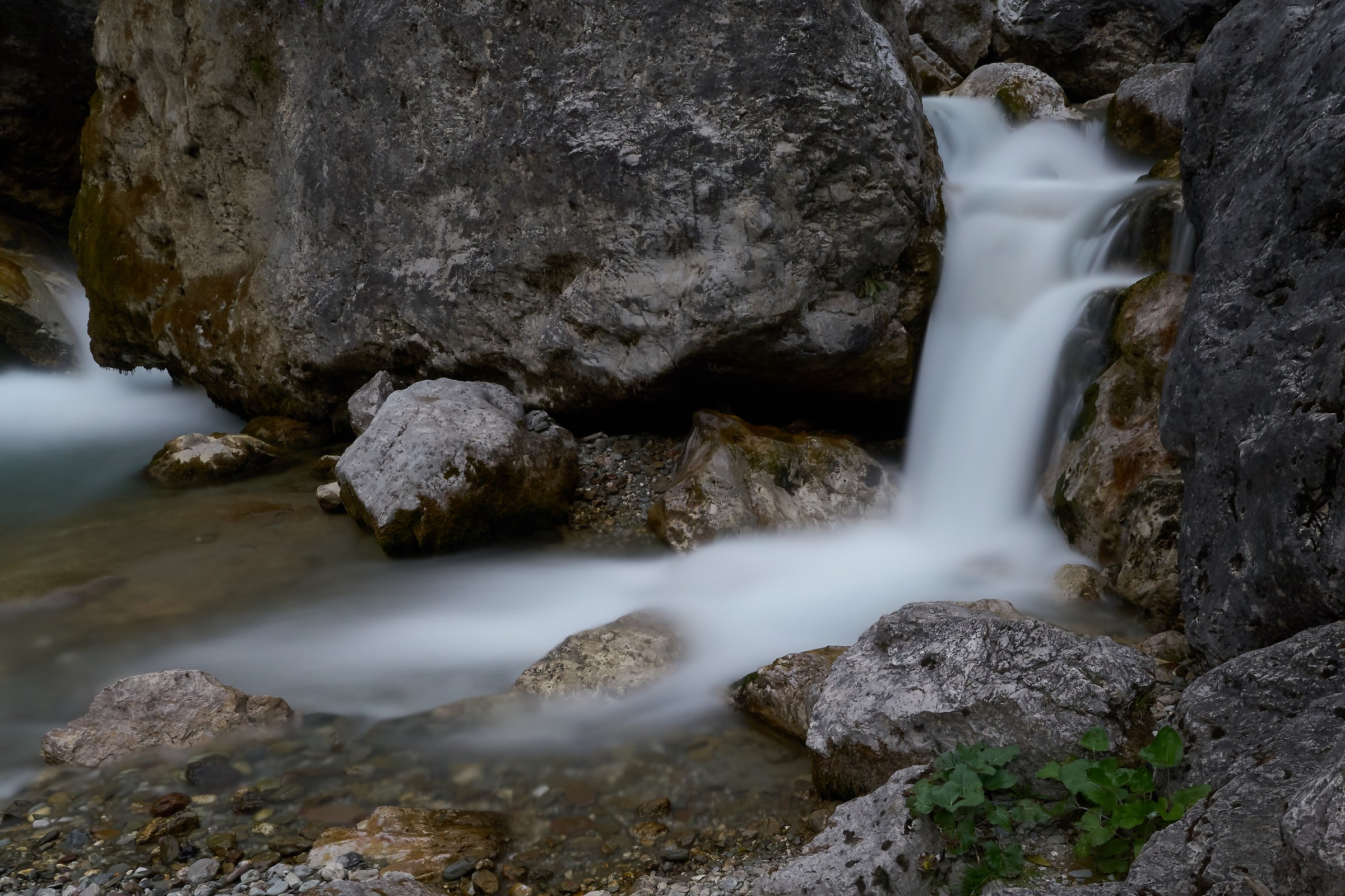 and the river Flow 3