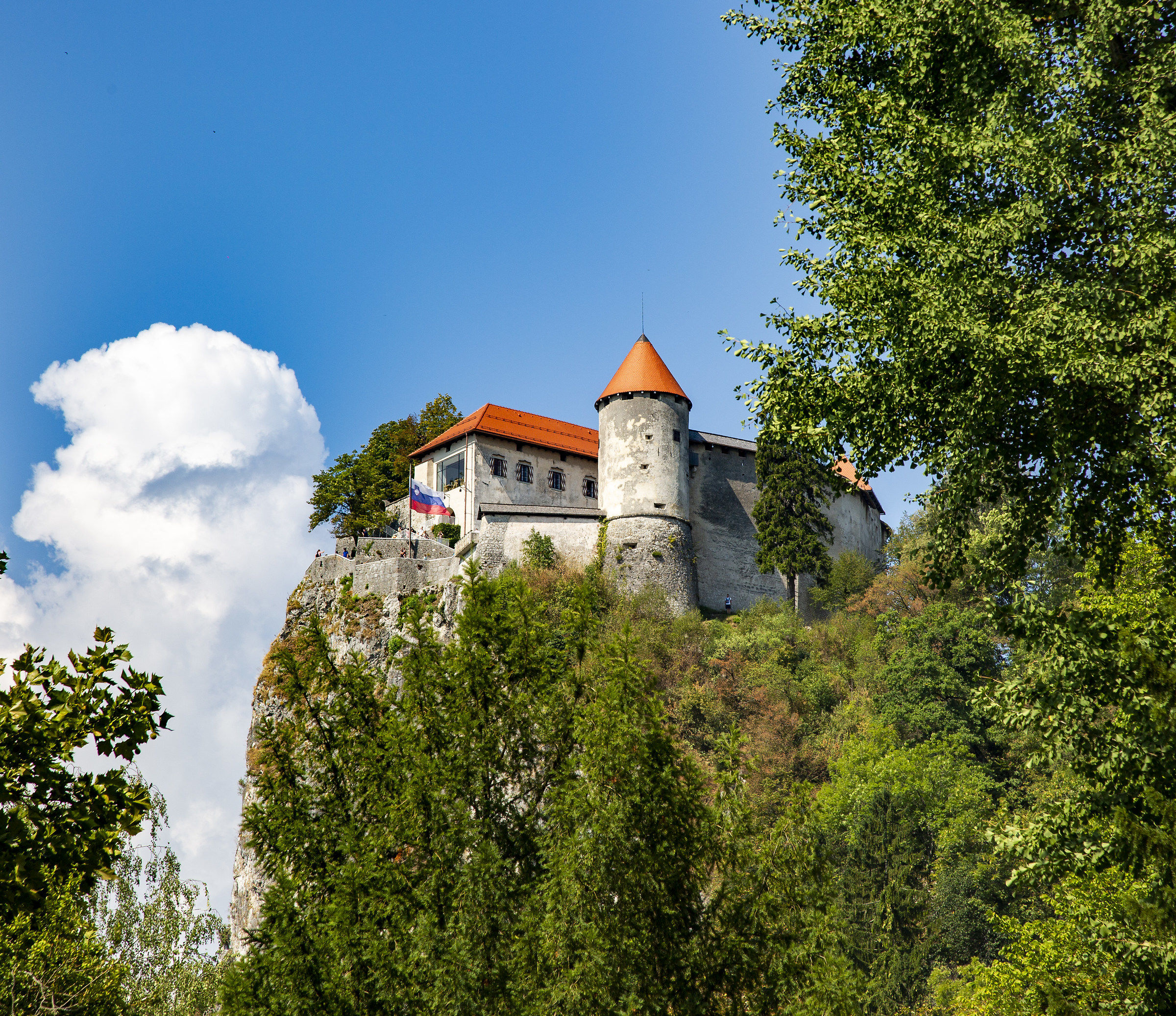 Bled Castle