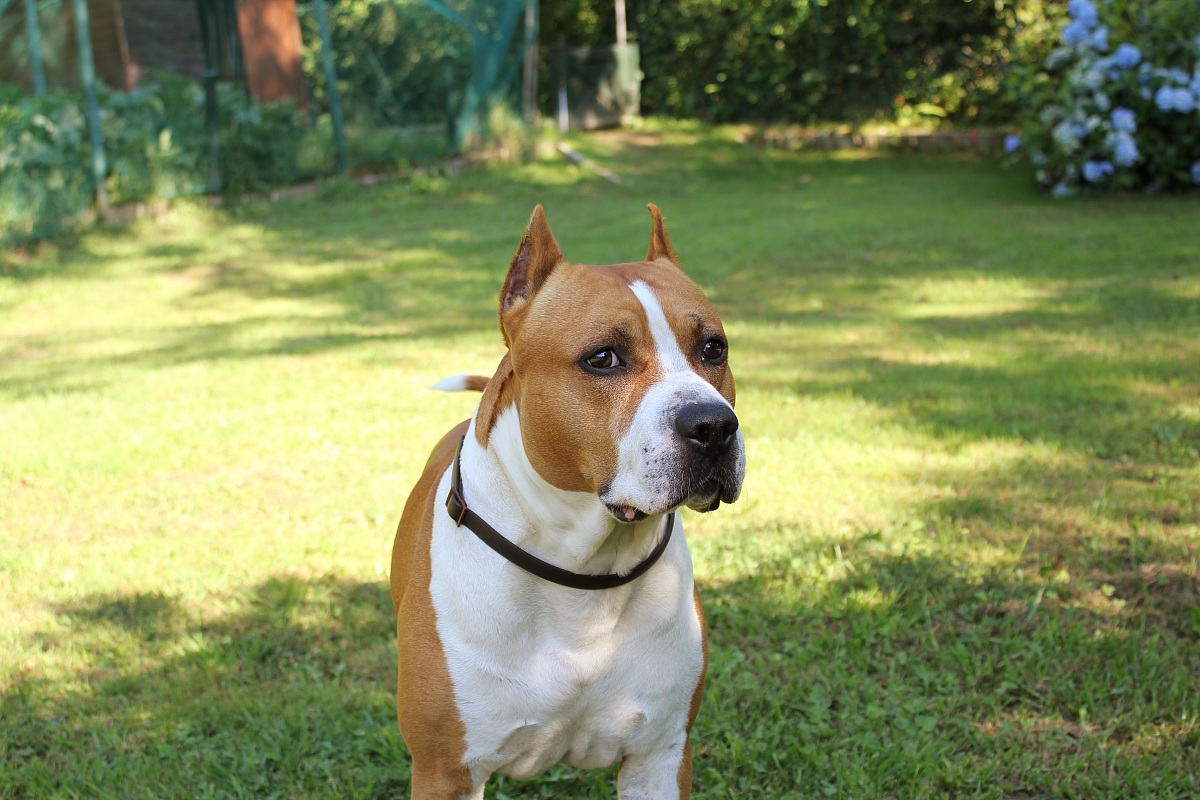 Ti tengo d'occhio...