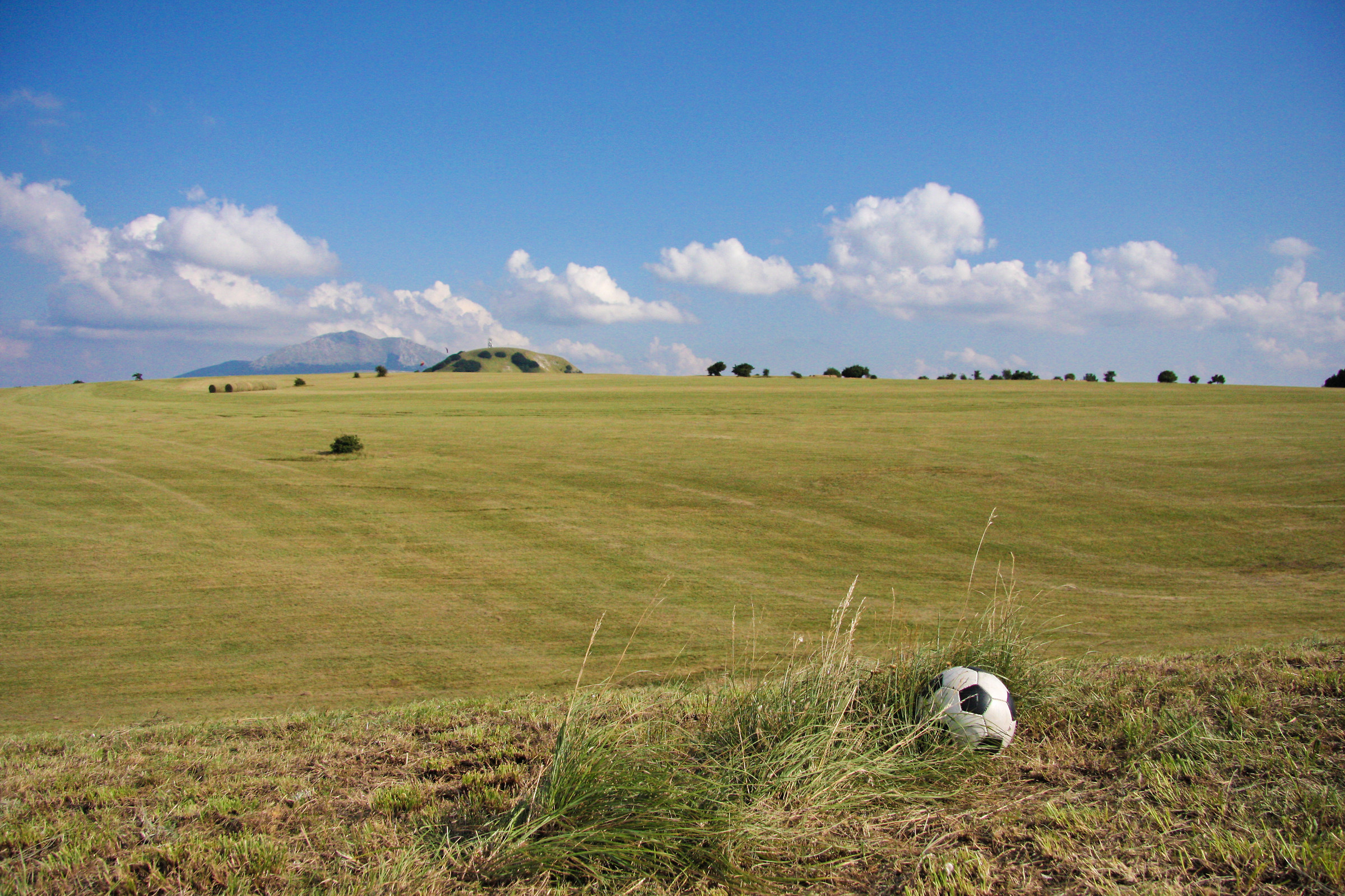 Other than green rectangle