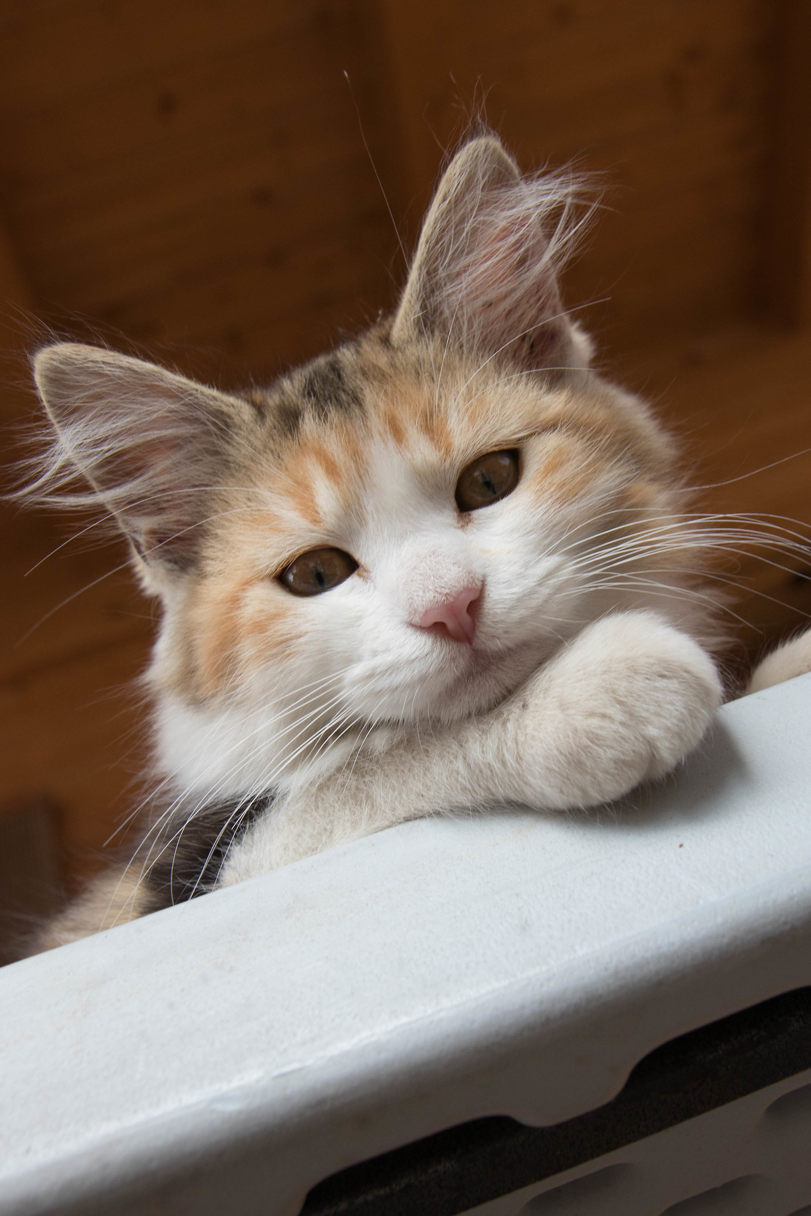 "Are you talking to me?"