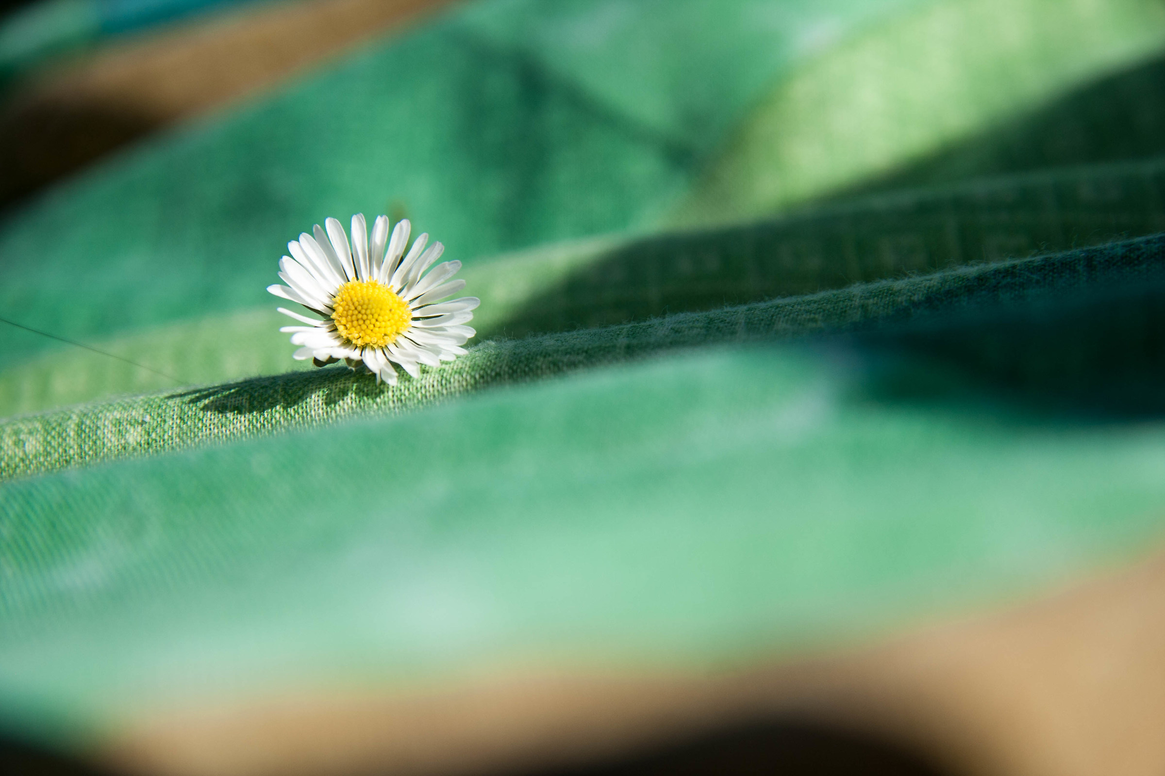 A Flower Rug