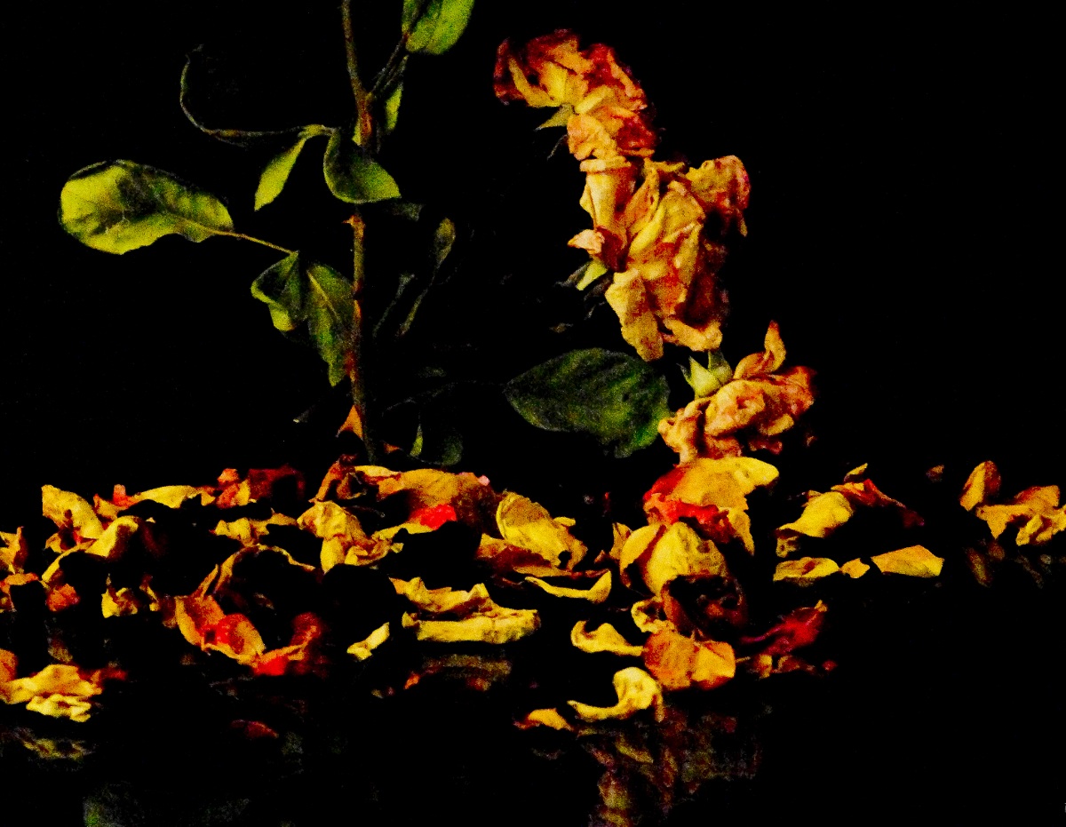 We were ... roses ... a year ago ... 3