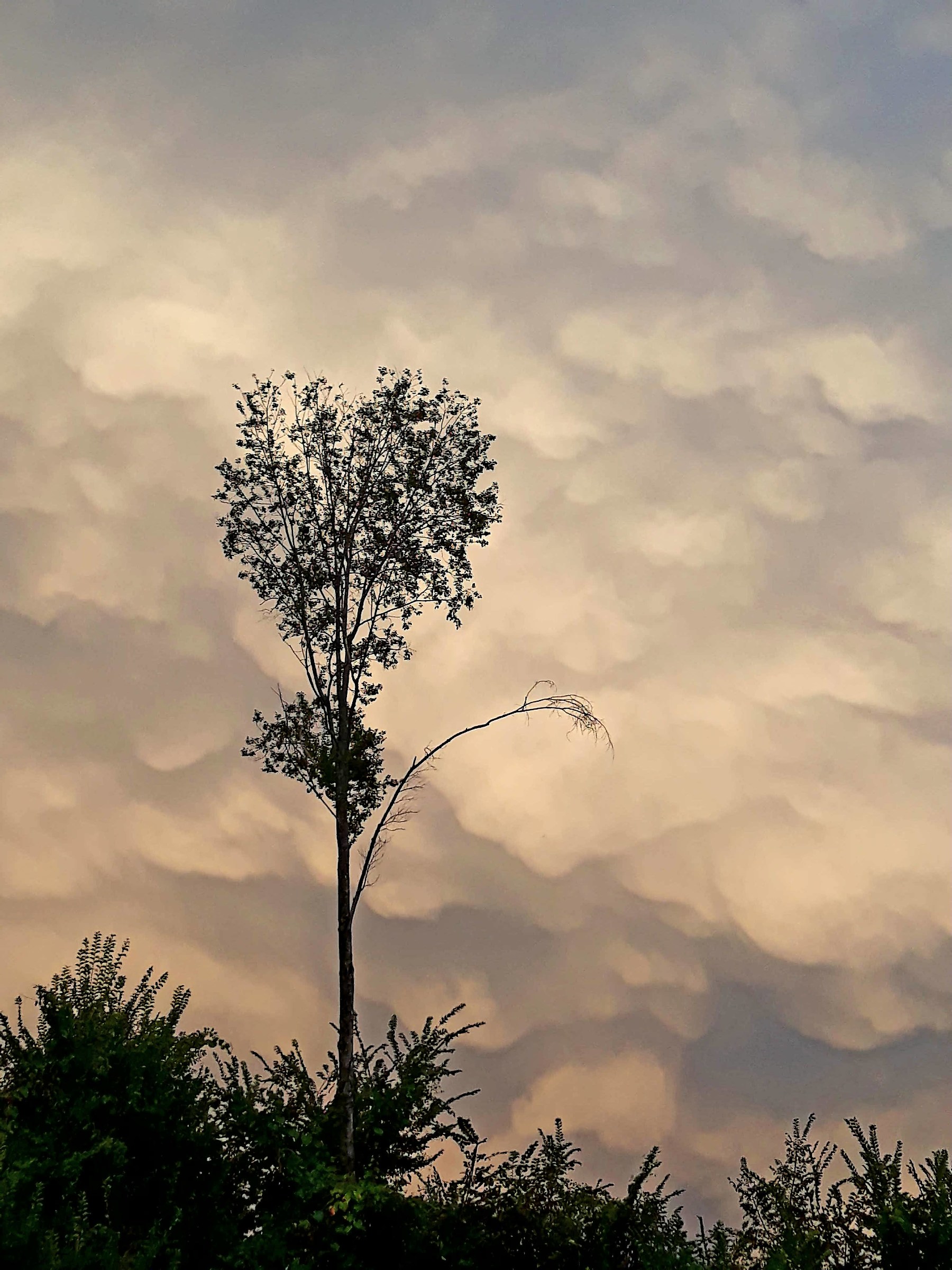 Sunset with Thunderstorm
