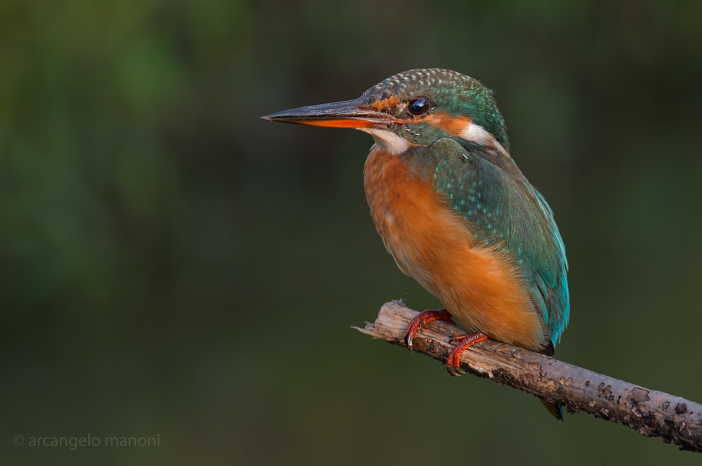 Martino: World Heritage Site