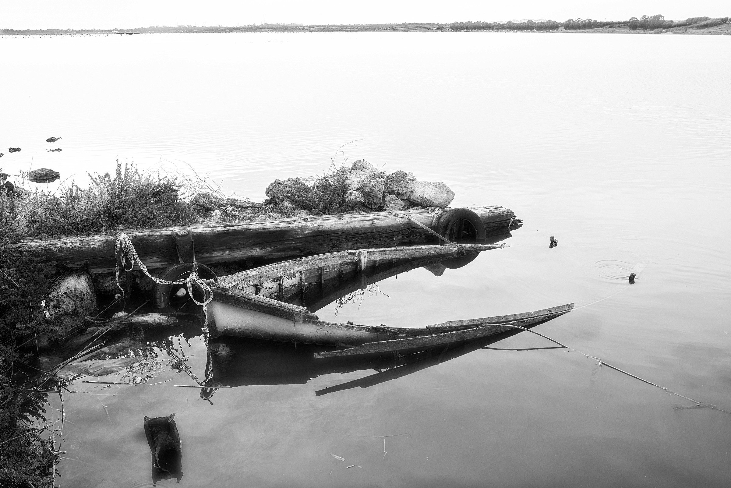 Mar Piccolo di Taranto. Agosto 2018.