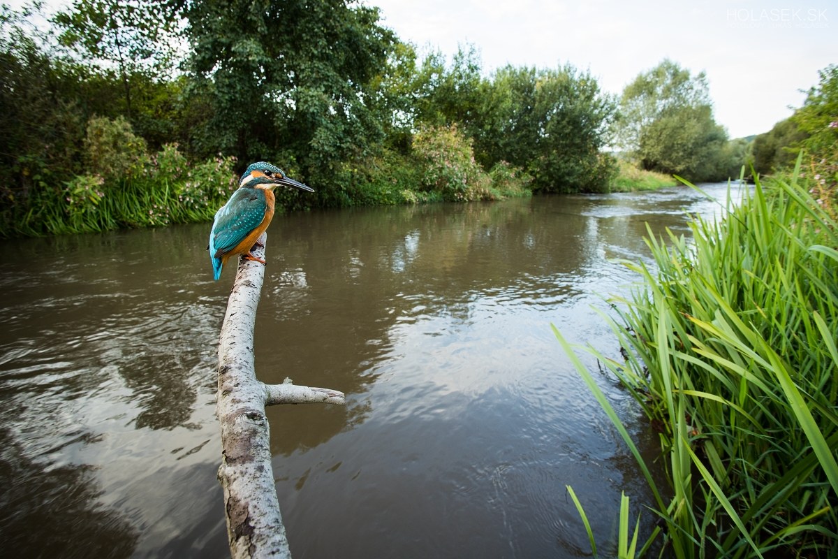 A regulated river - Unnatural environment