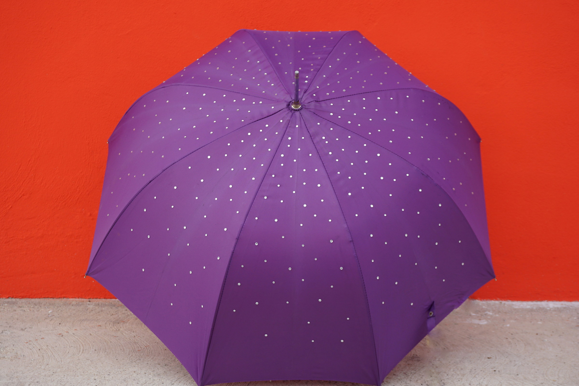 The Purple umbrella
