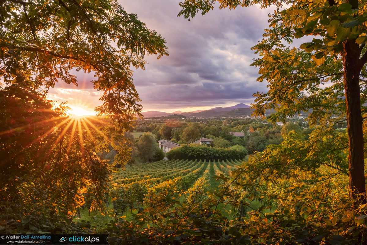 Tramonto di fine estate in Franciacorta