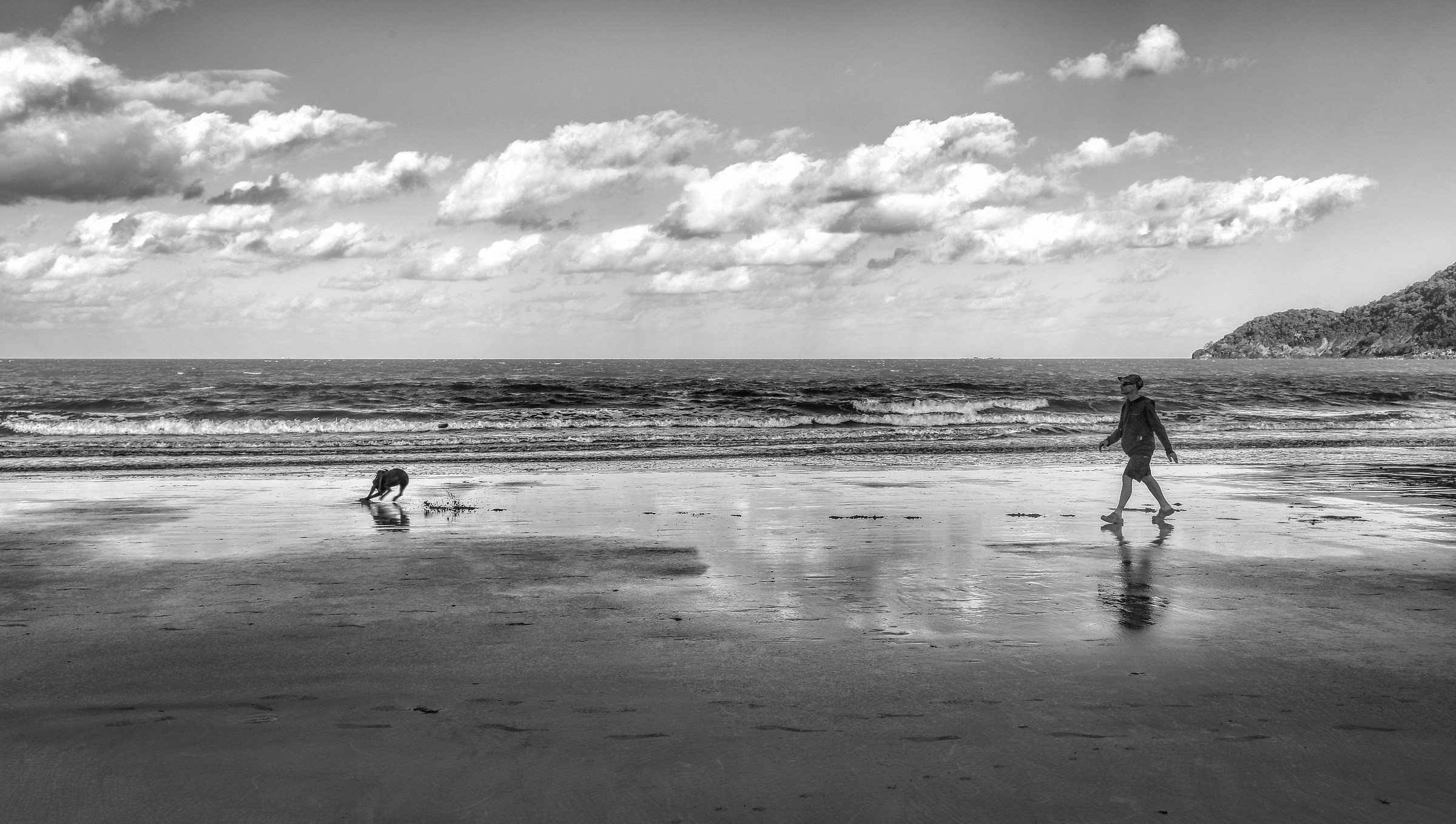 Walking With the dog