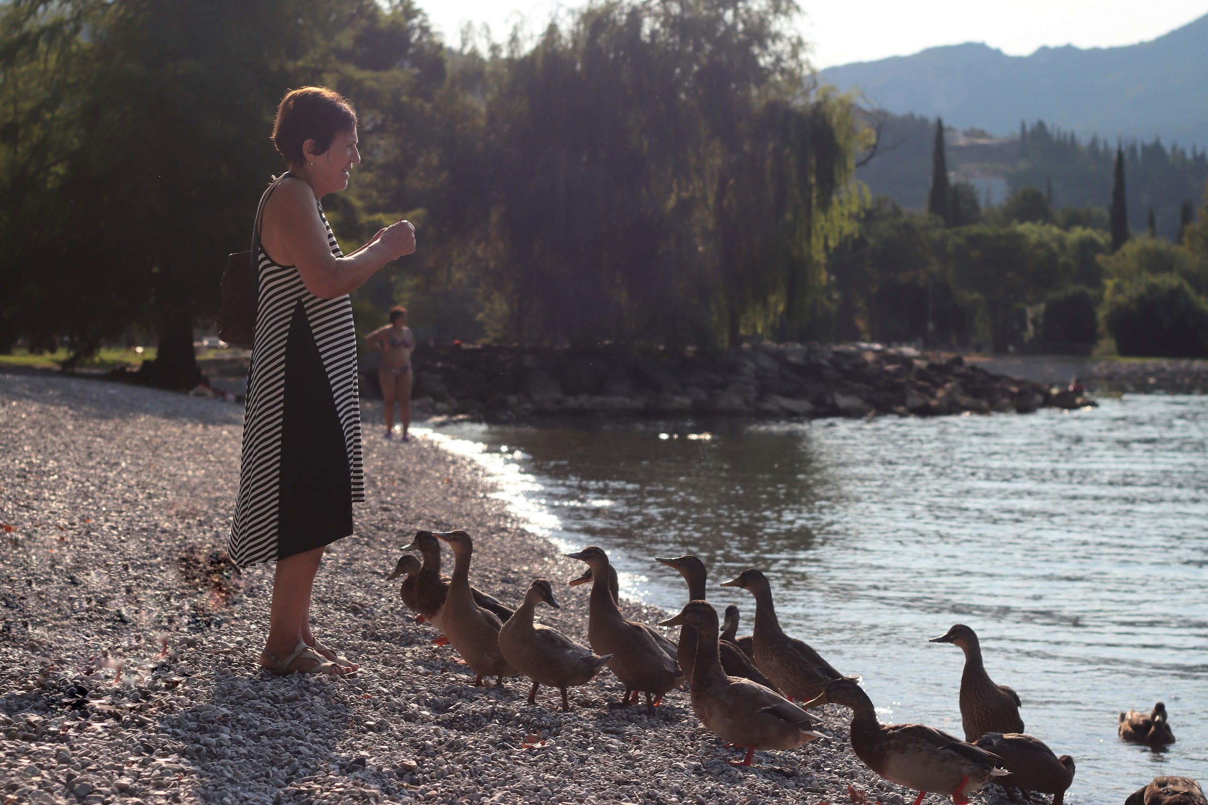 The Lady of the Geese