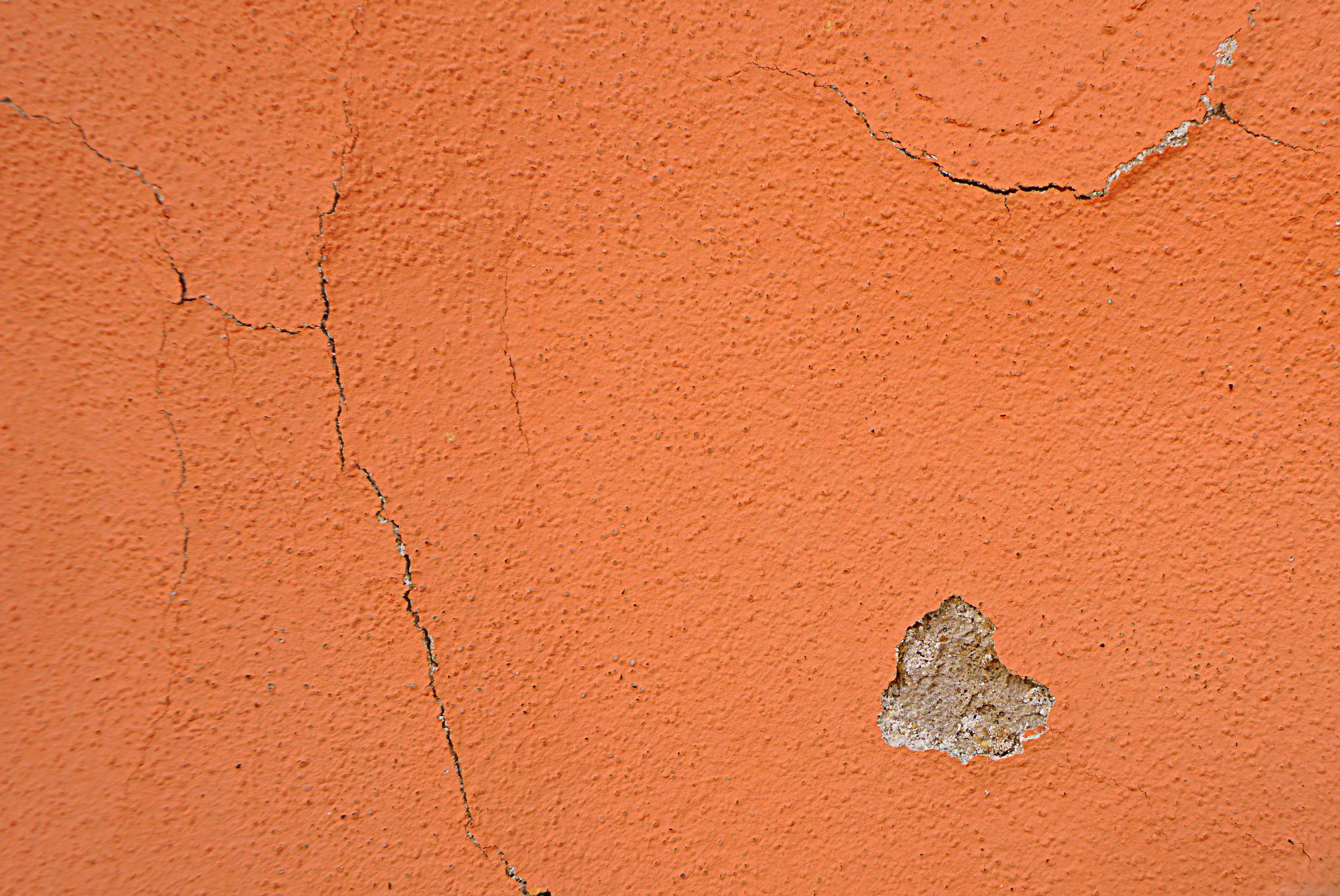 The Heart Everywhere