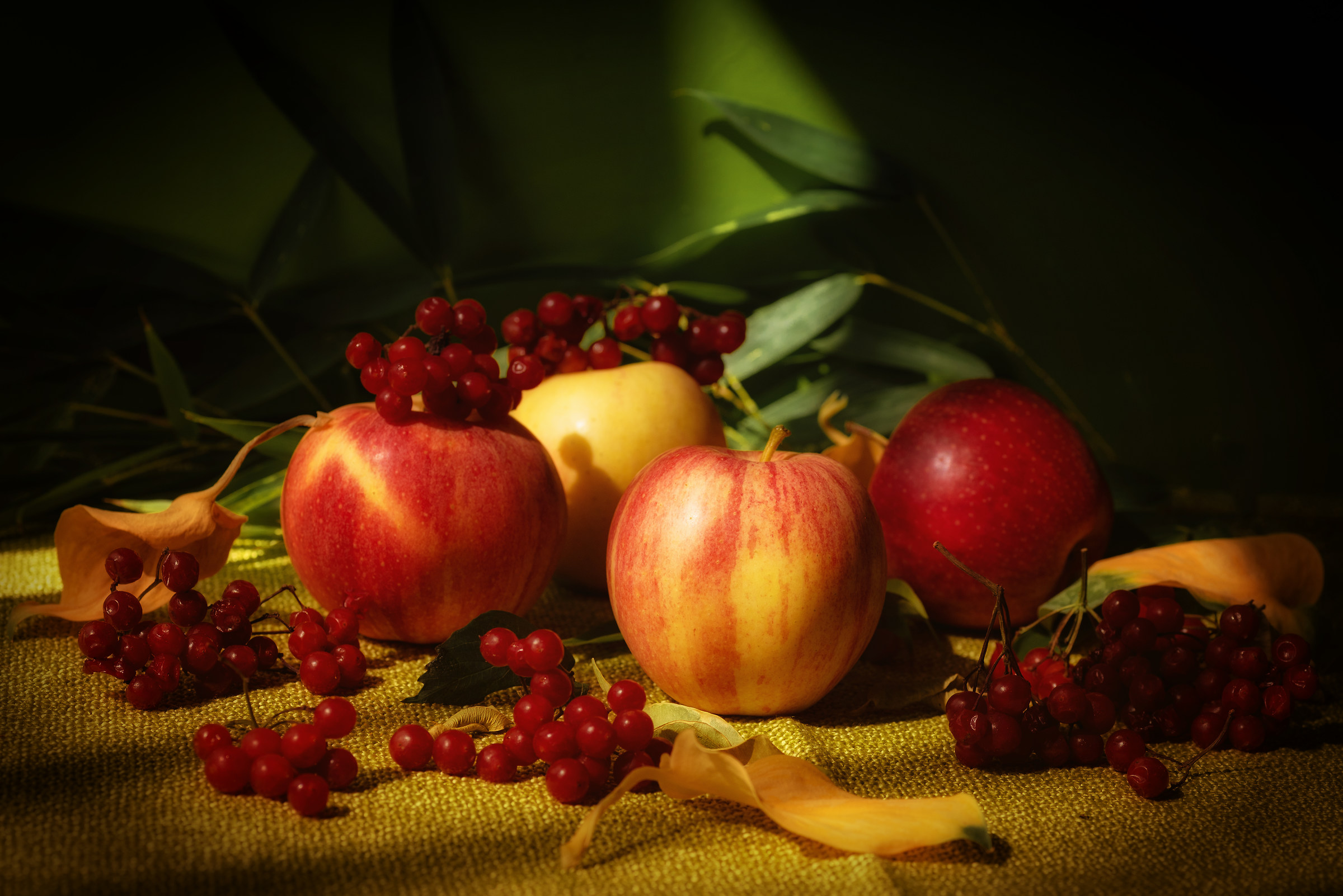 I colori del'autunno...