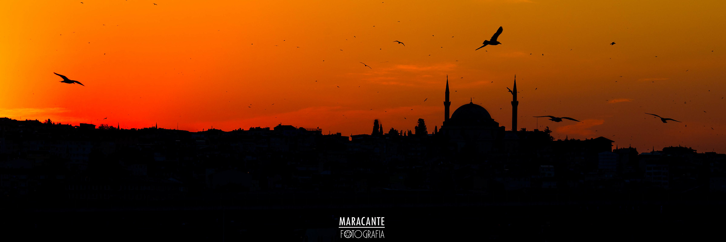 Silhouette from 20 million anime