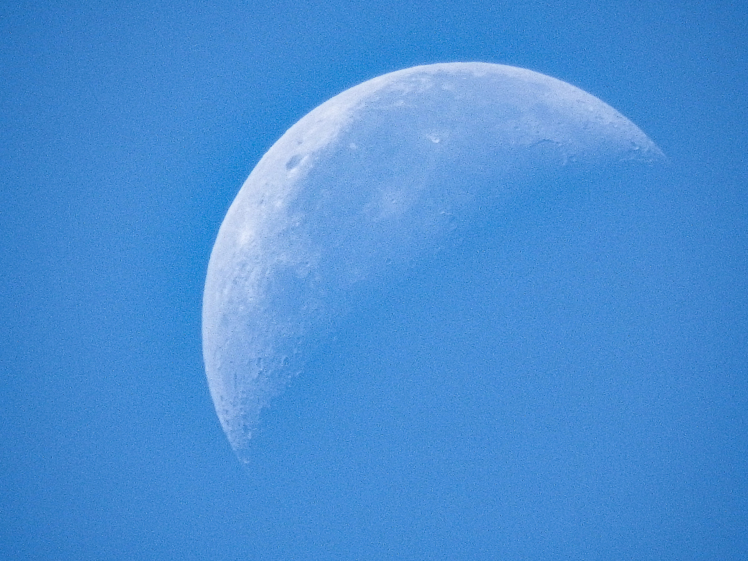 Morning Moon