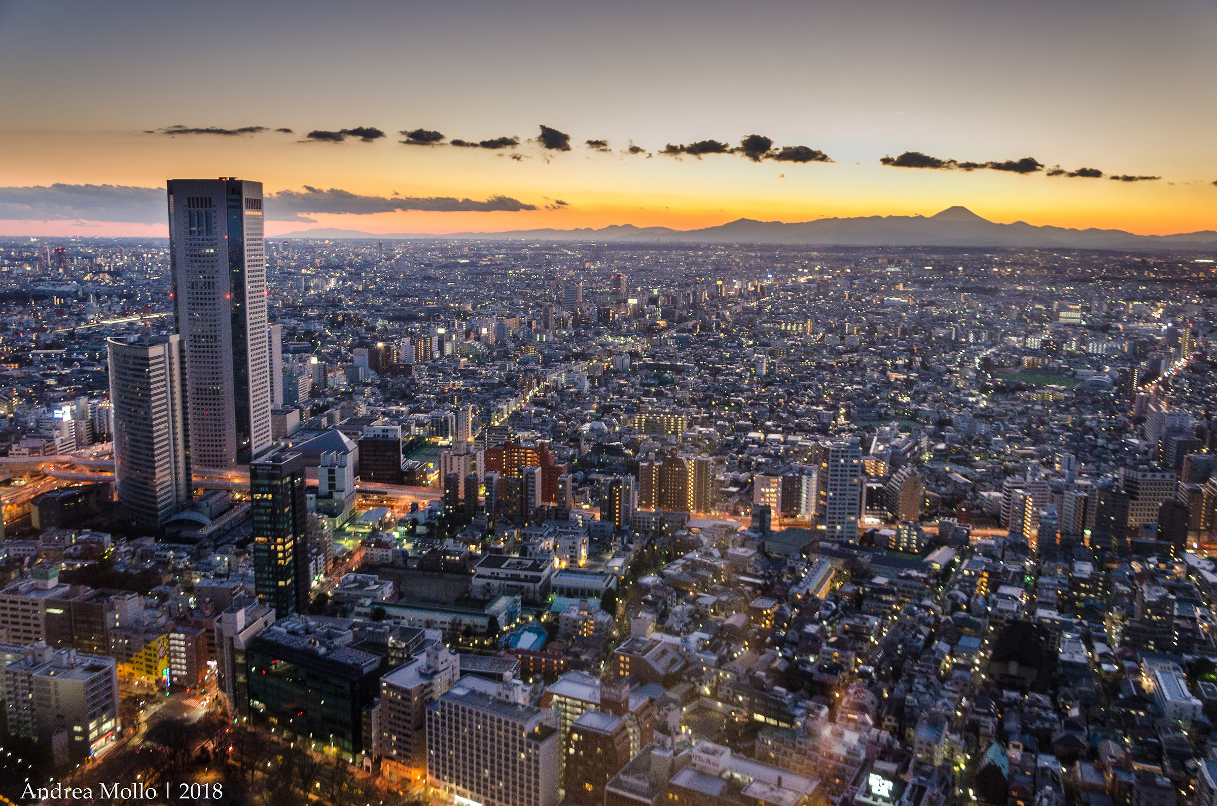 Tokyo and Mount Fuji