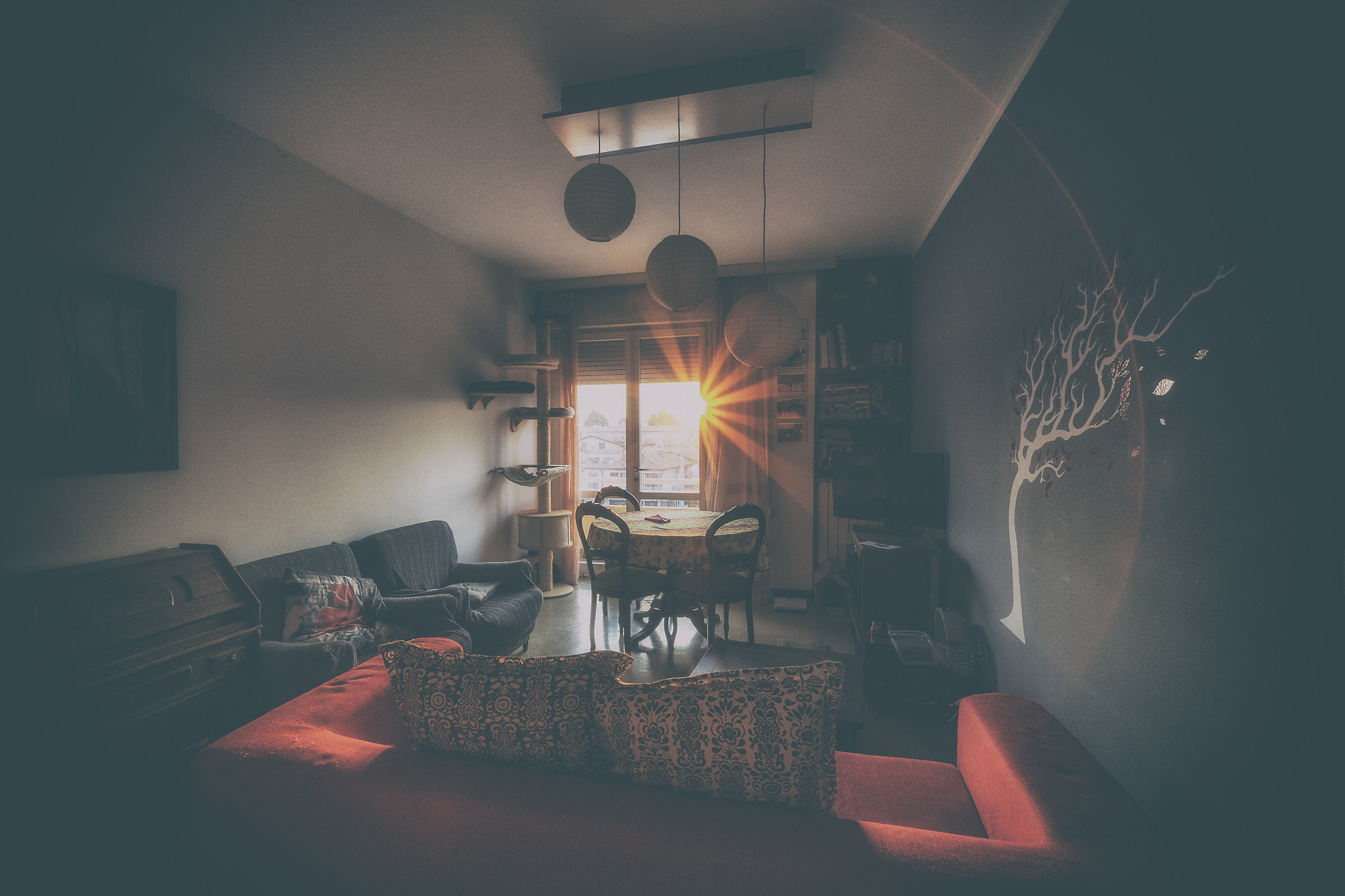 ...alba in salotto, che energia!...