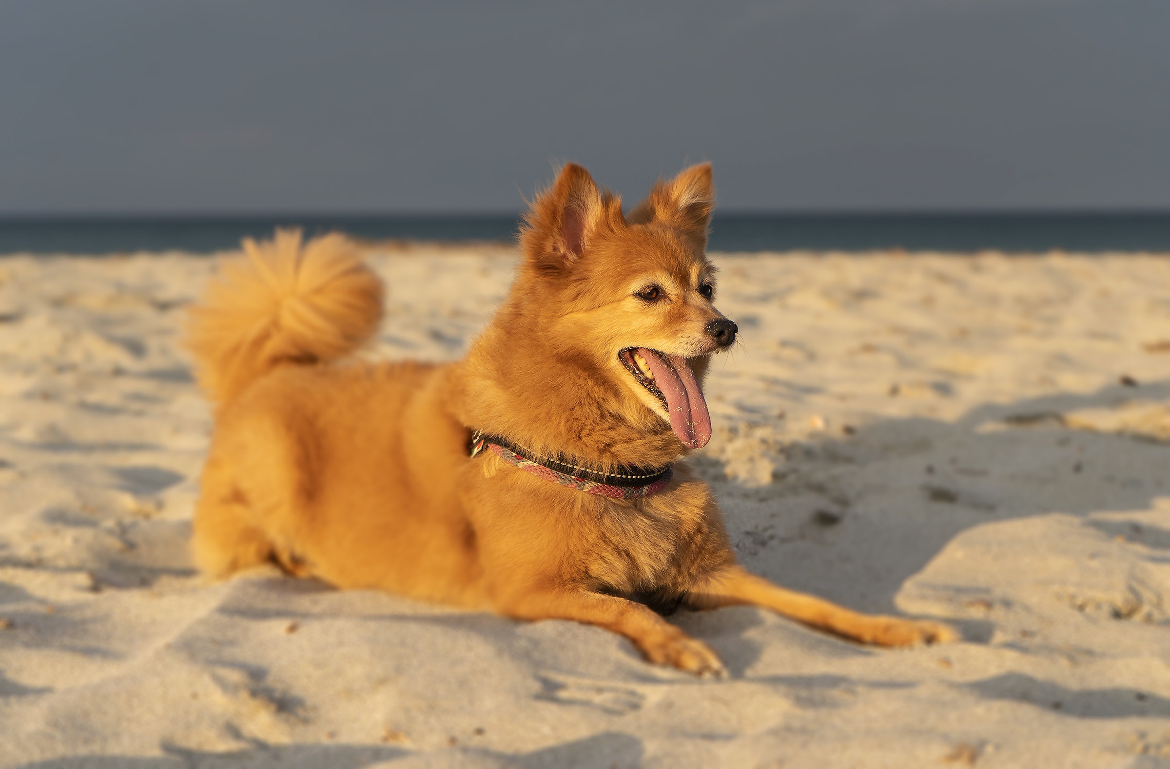 Camilla at the beach