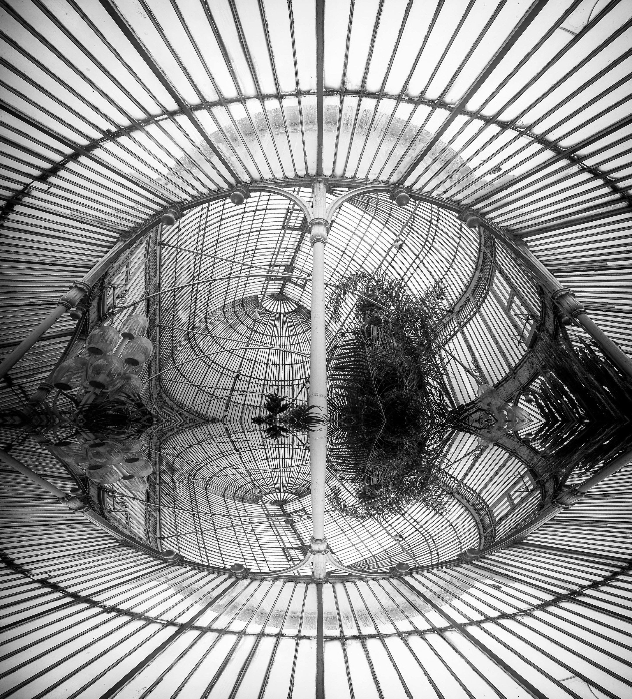 Belfast, orto botanico 01