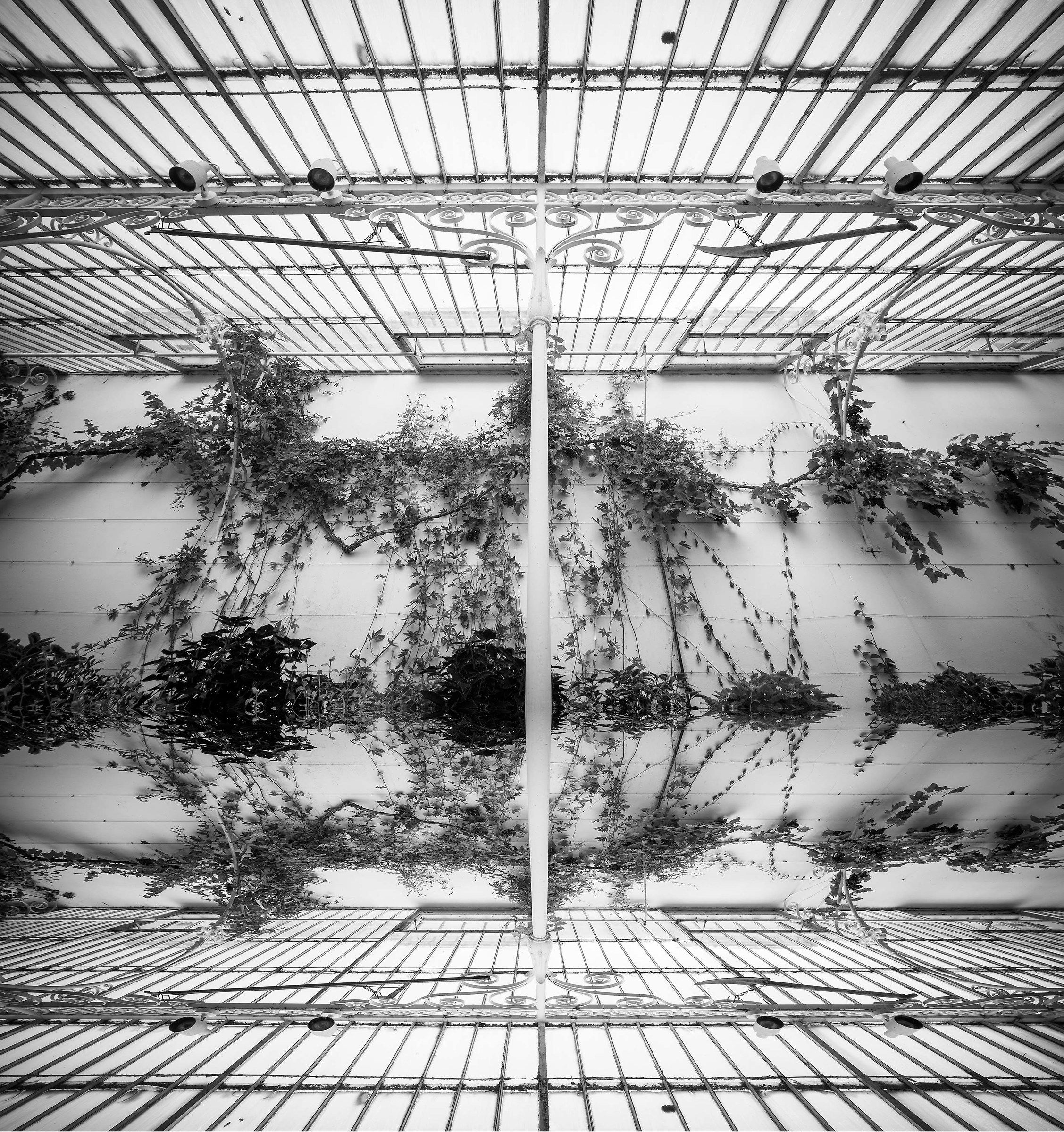 Belfast, orto botanico 02