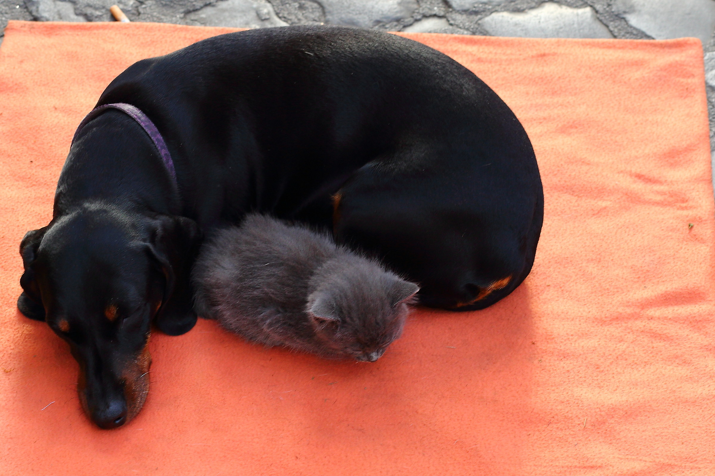 Accoglienza senza pregiudizi