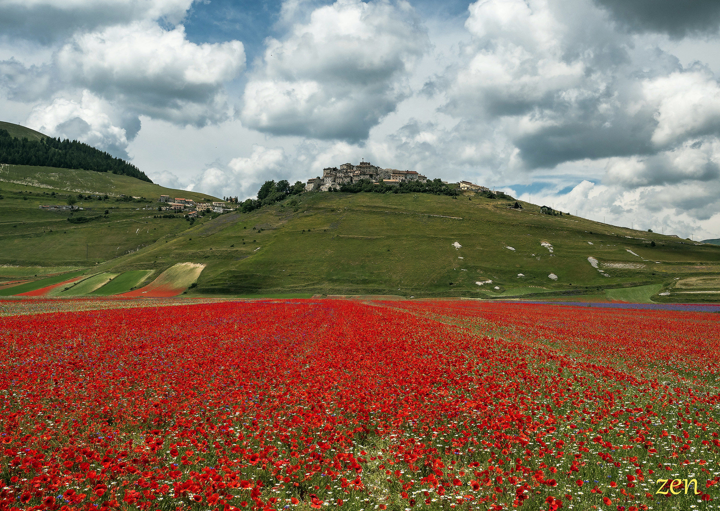 Omaggio a Castelluccio