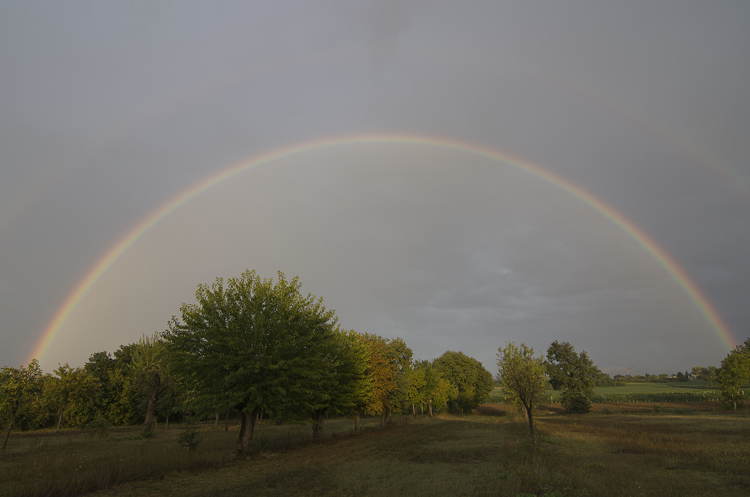 la quiete dopo la tempesta