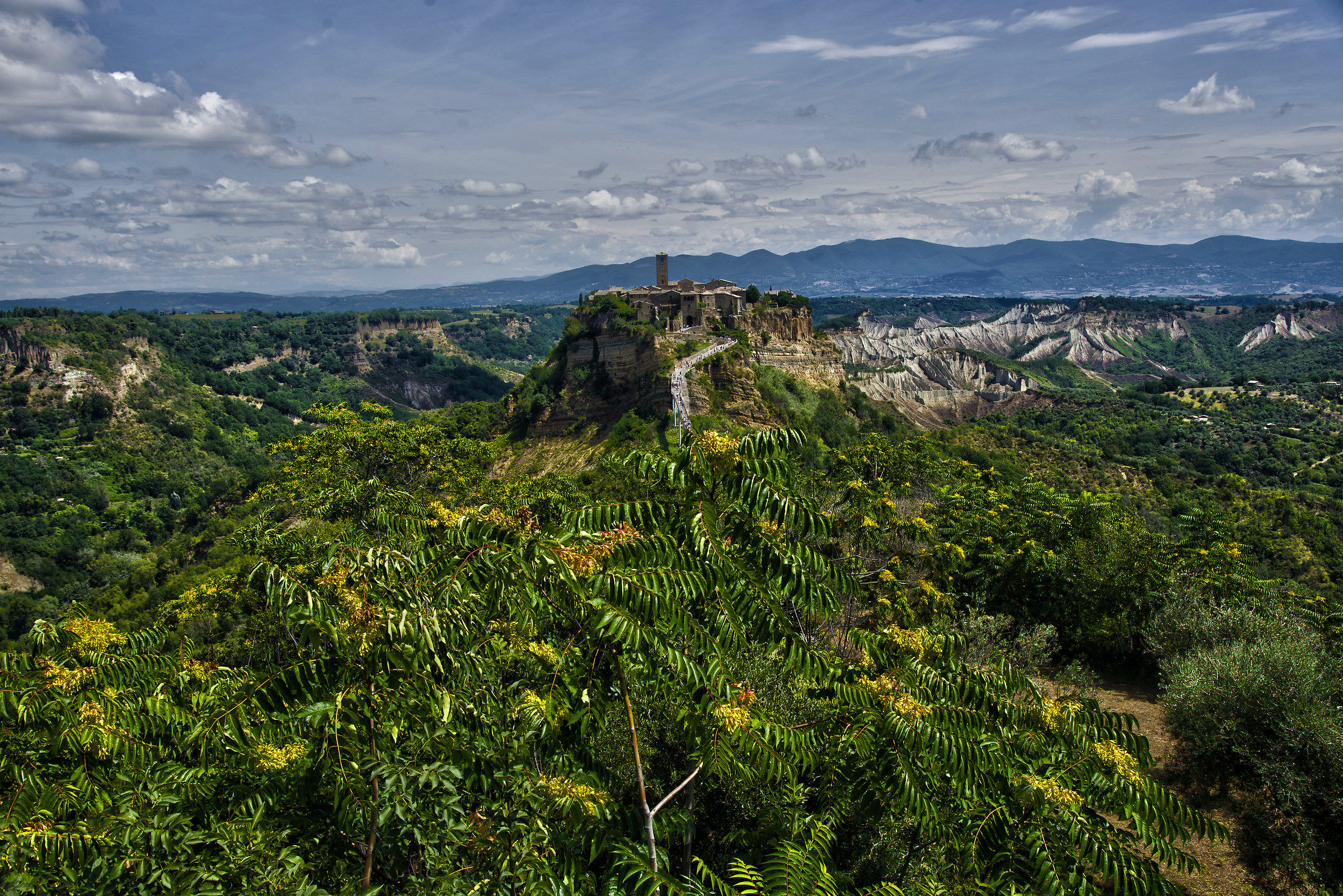 Overview