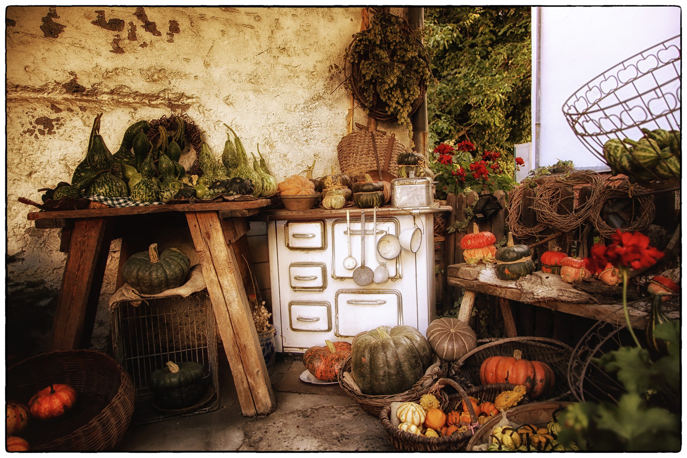 And... The autumn is coming!!