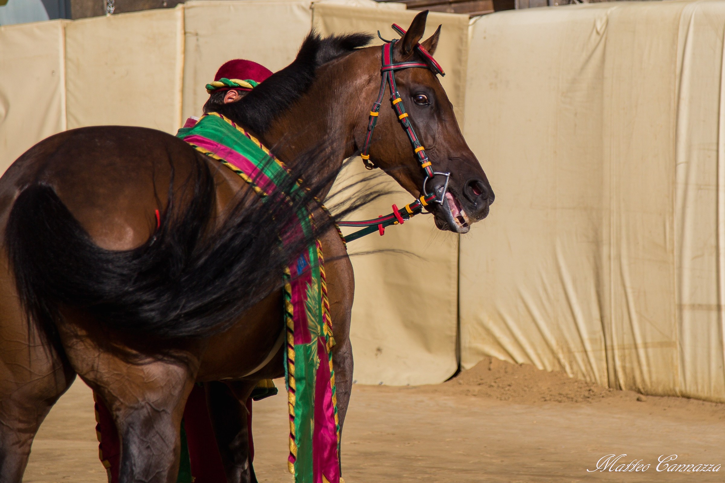 Historical Procession # 3