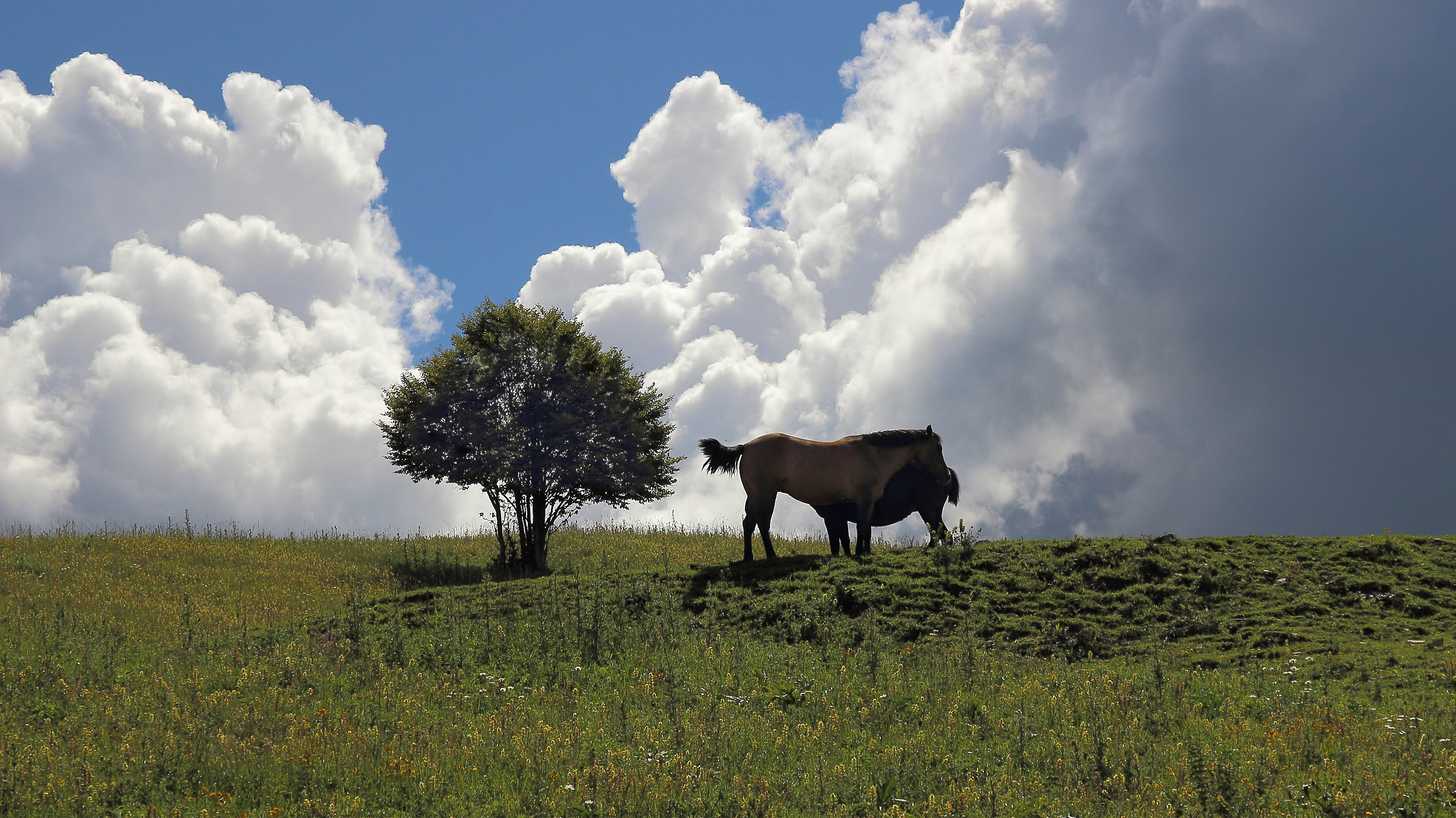 fra le nuvole sul Grappa