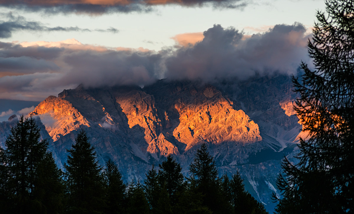 Between the trees and the clouds