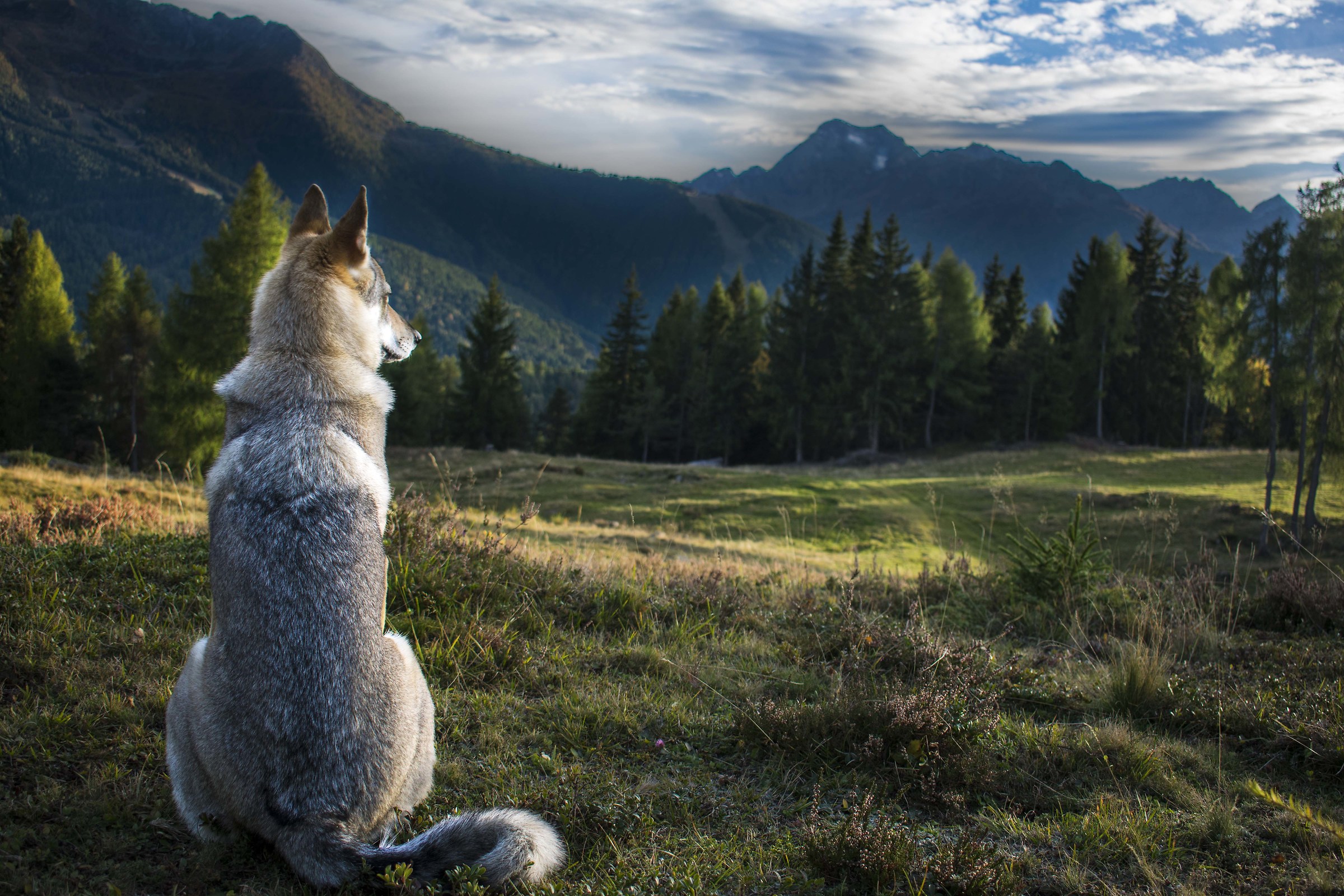 The best thing about me