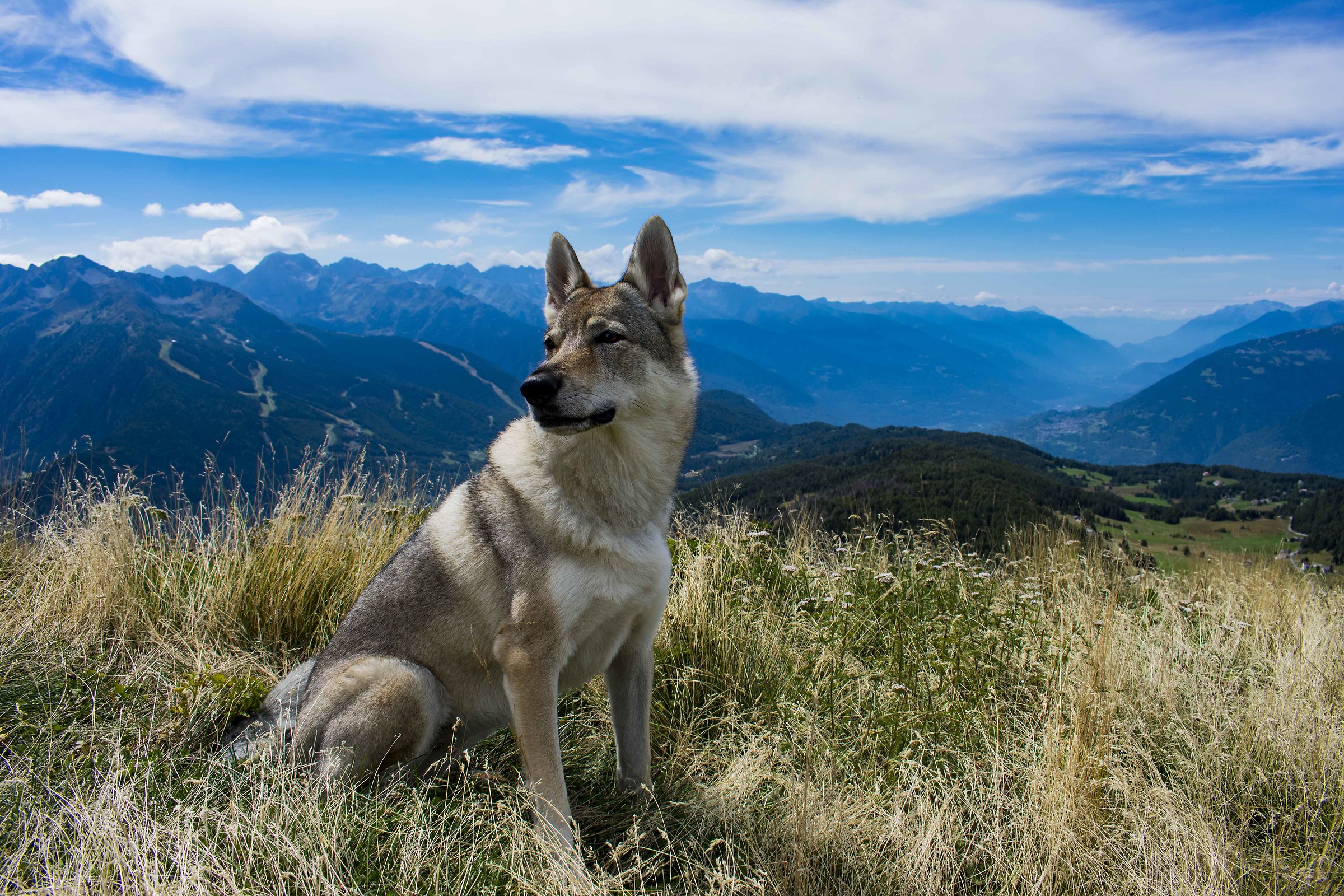 With a clear mind and a full heart