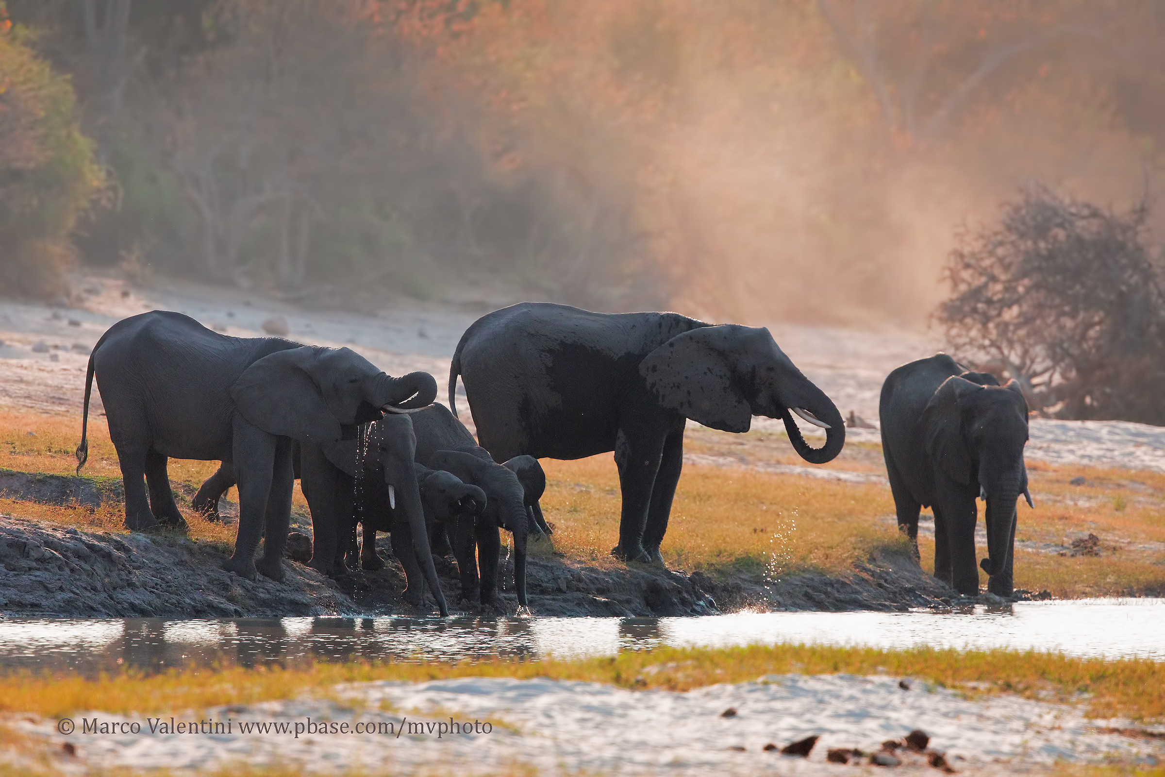 The Chobe in the evening