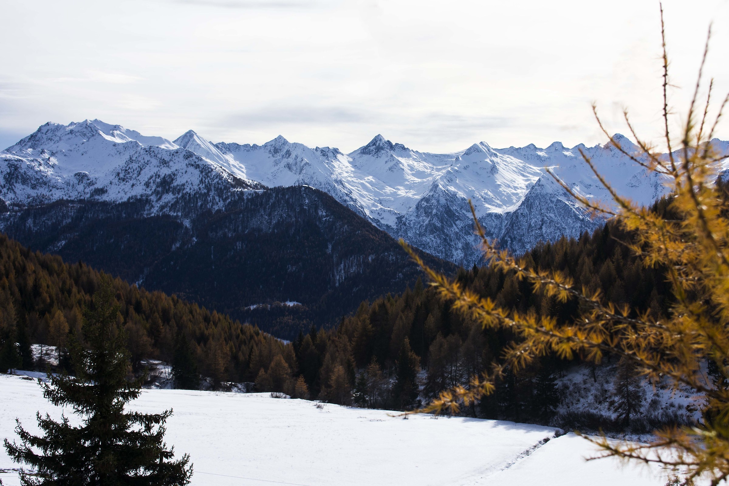 The best Good Morning